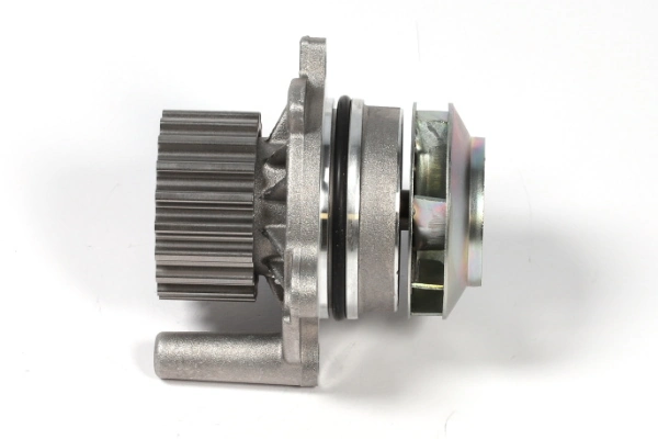 P655 Hepu