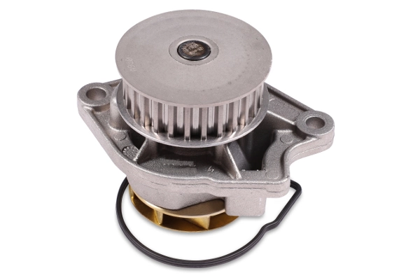 P541 Hepu