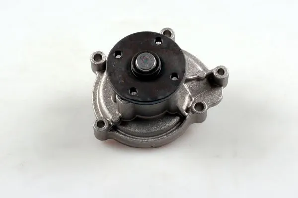 P1515 Hepu