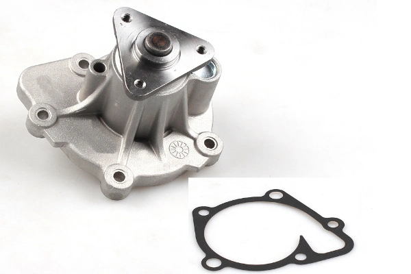P7856 Hepu