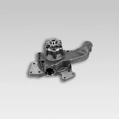 P1466 Hepu
