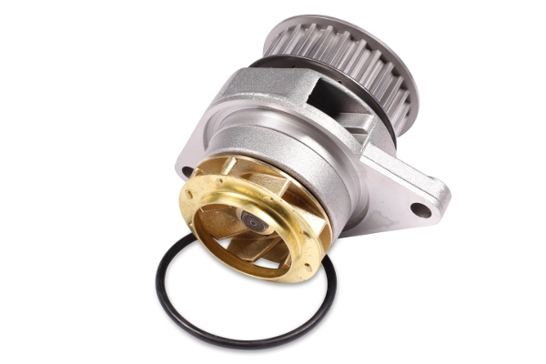 P558 Hepu