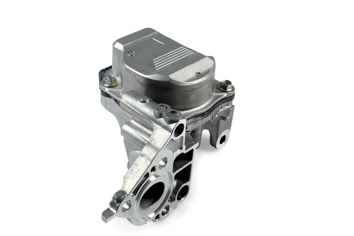 P7876 Hepu