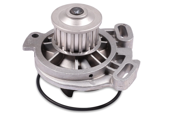 P528 Hepu