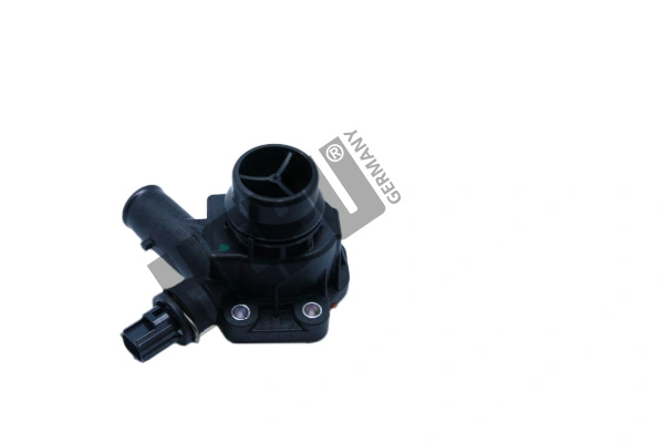 TM1113 Hepu