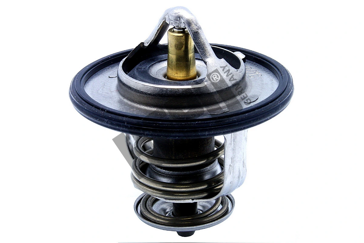 TM1315 Hepu