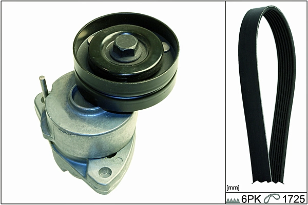 Comprar Correa de transmisión Opel Frontera B 6B