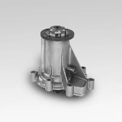 P136 Hepu