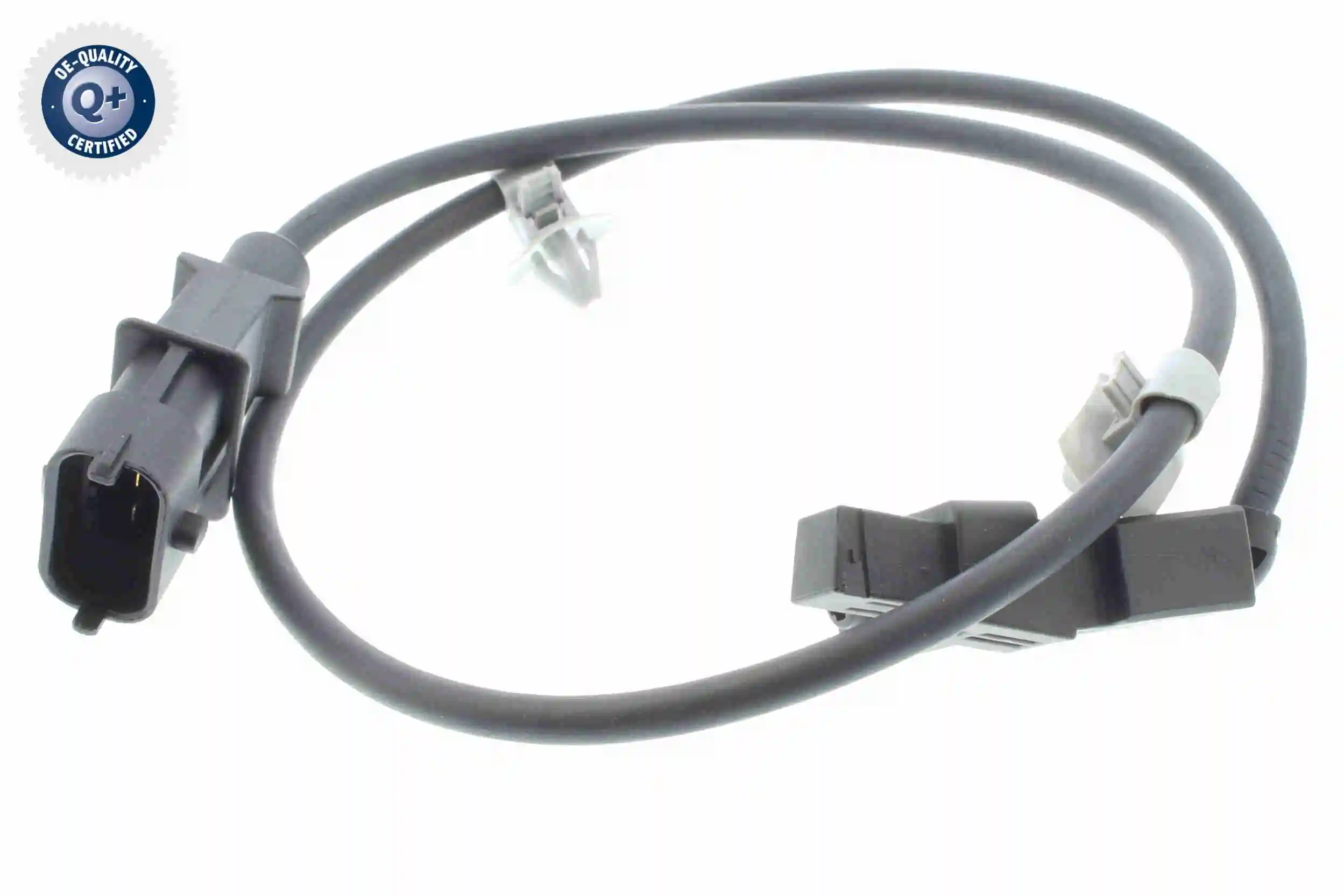 V53720075 Vemo