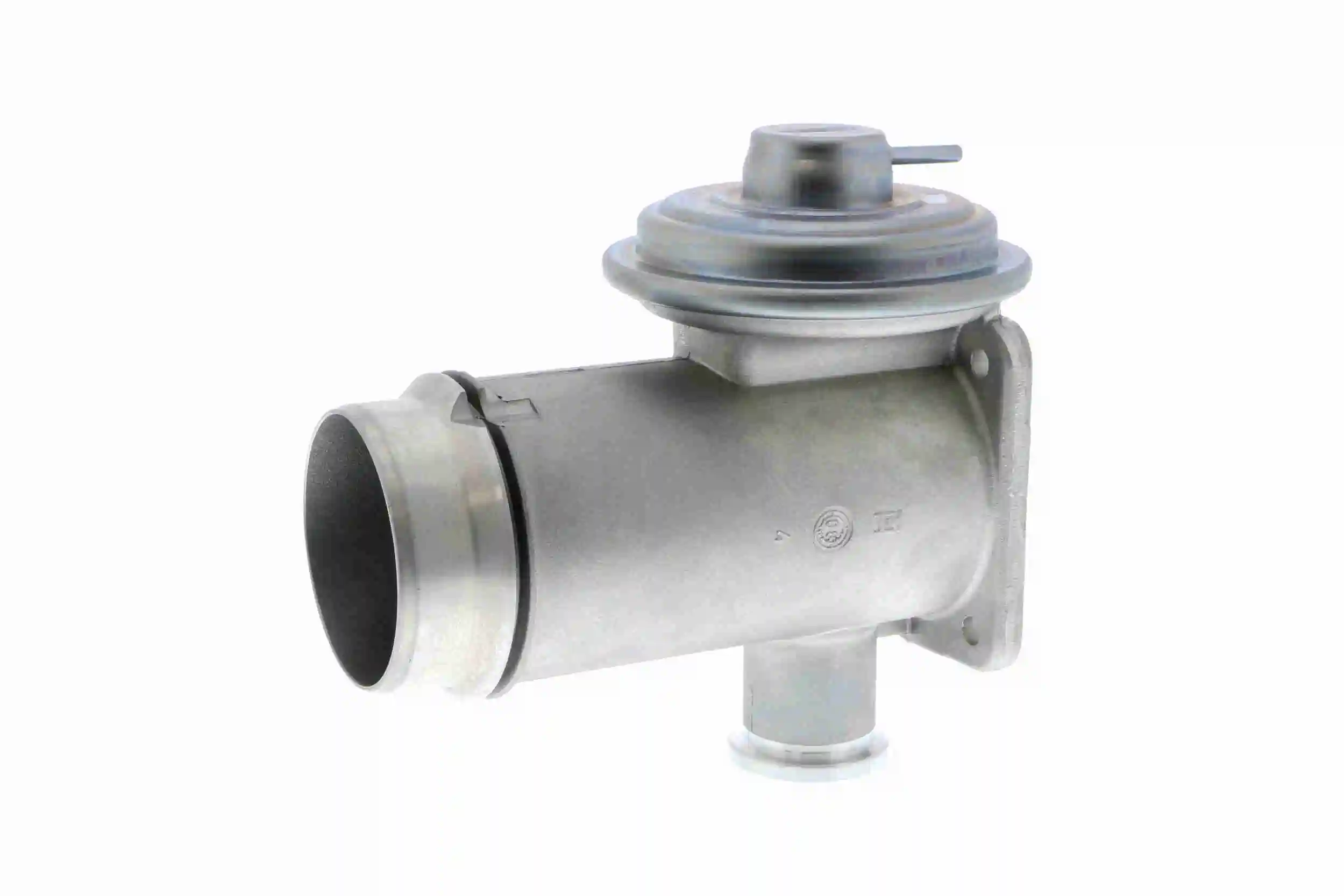 V20630025 Vemo
