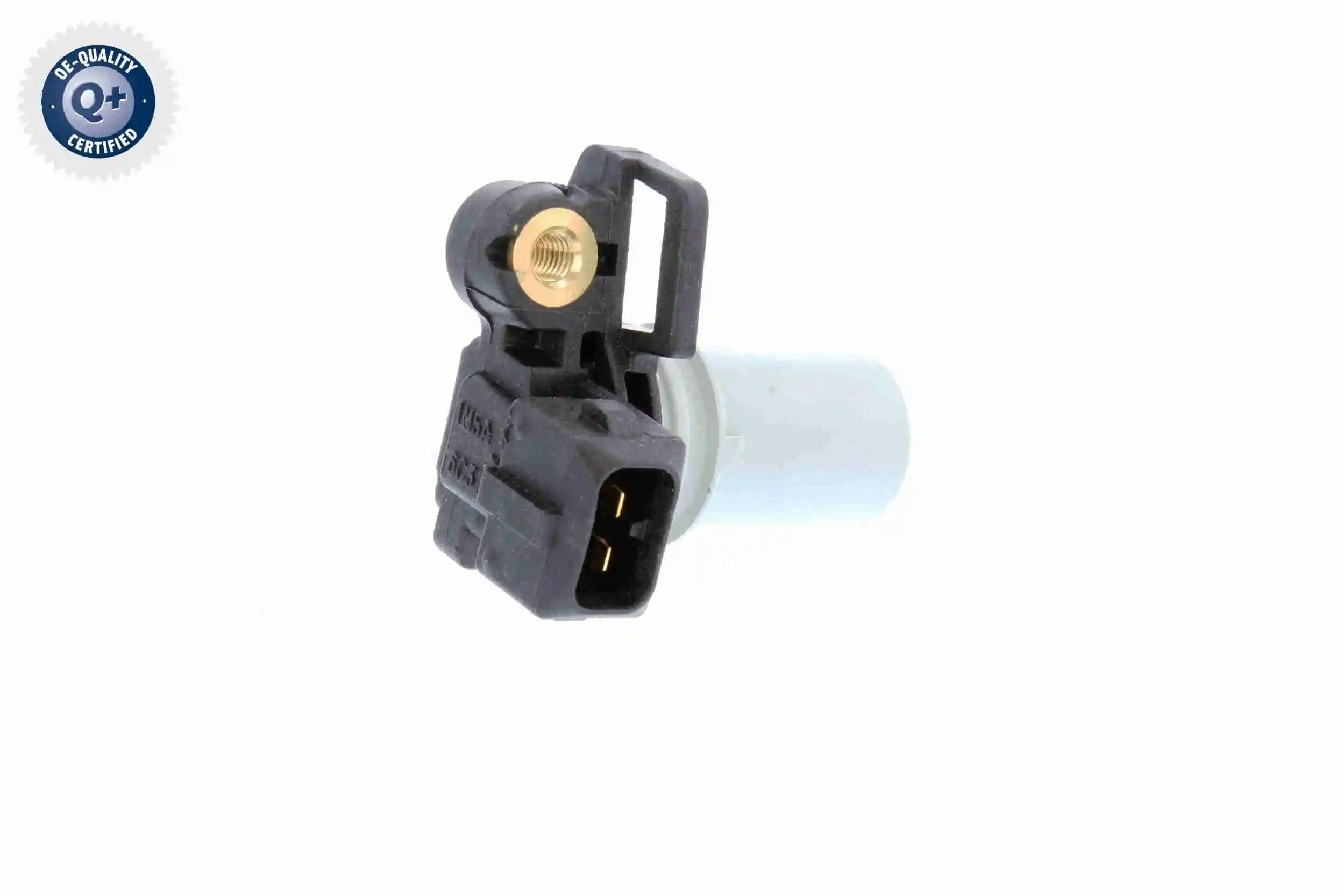 V25720060 Vemo