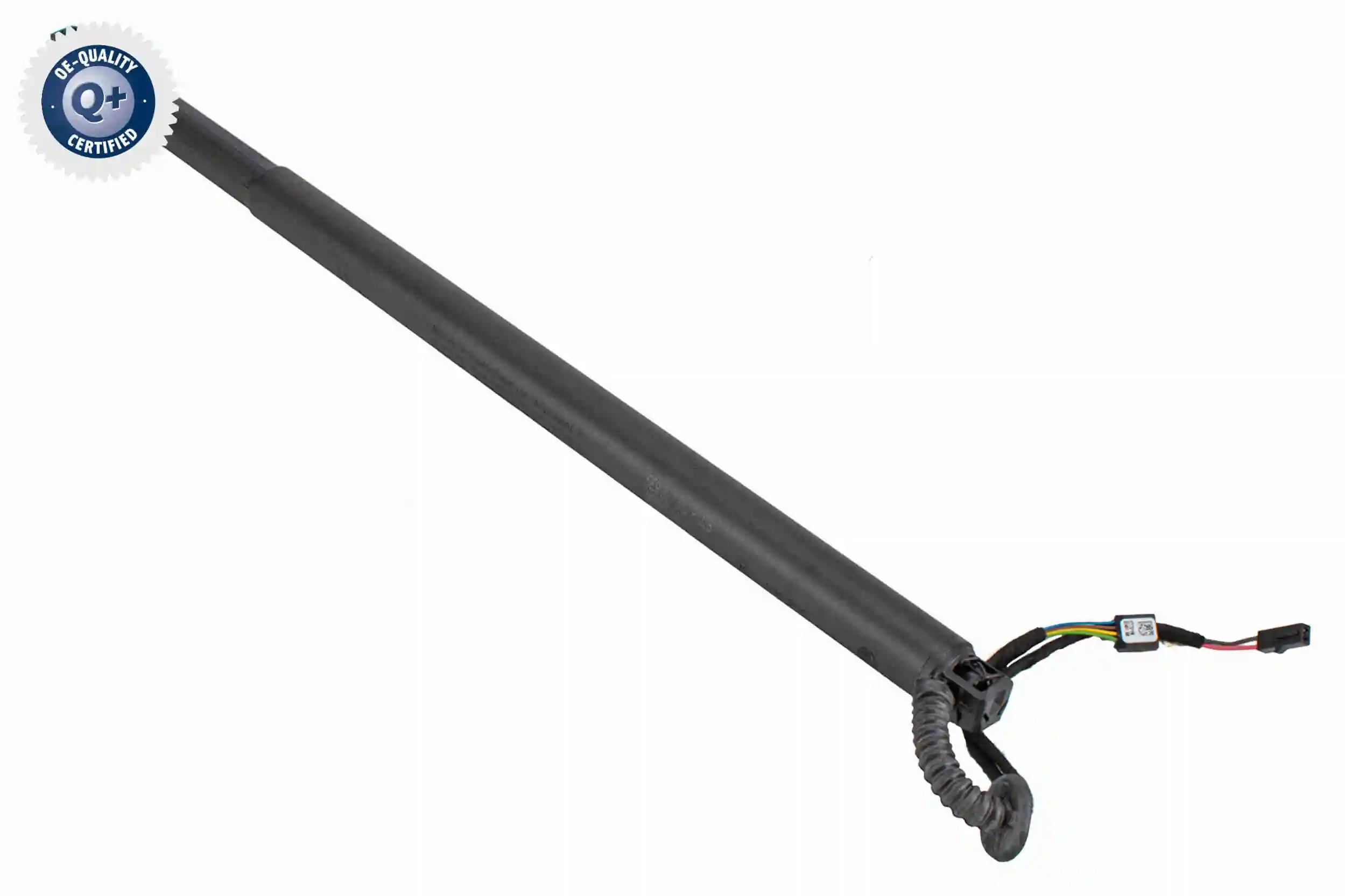 V10550021 Vemo