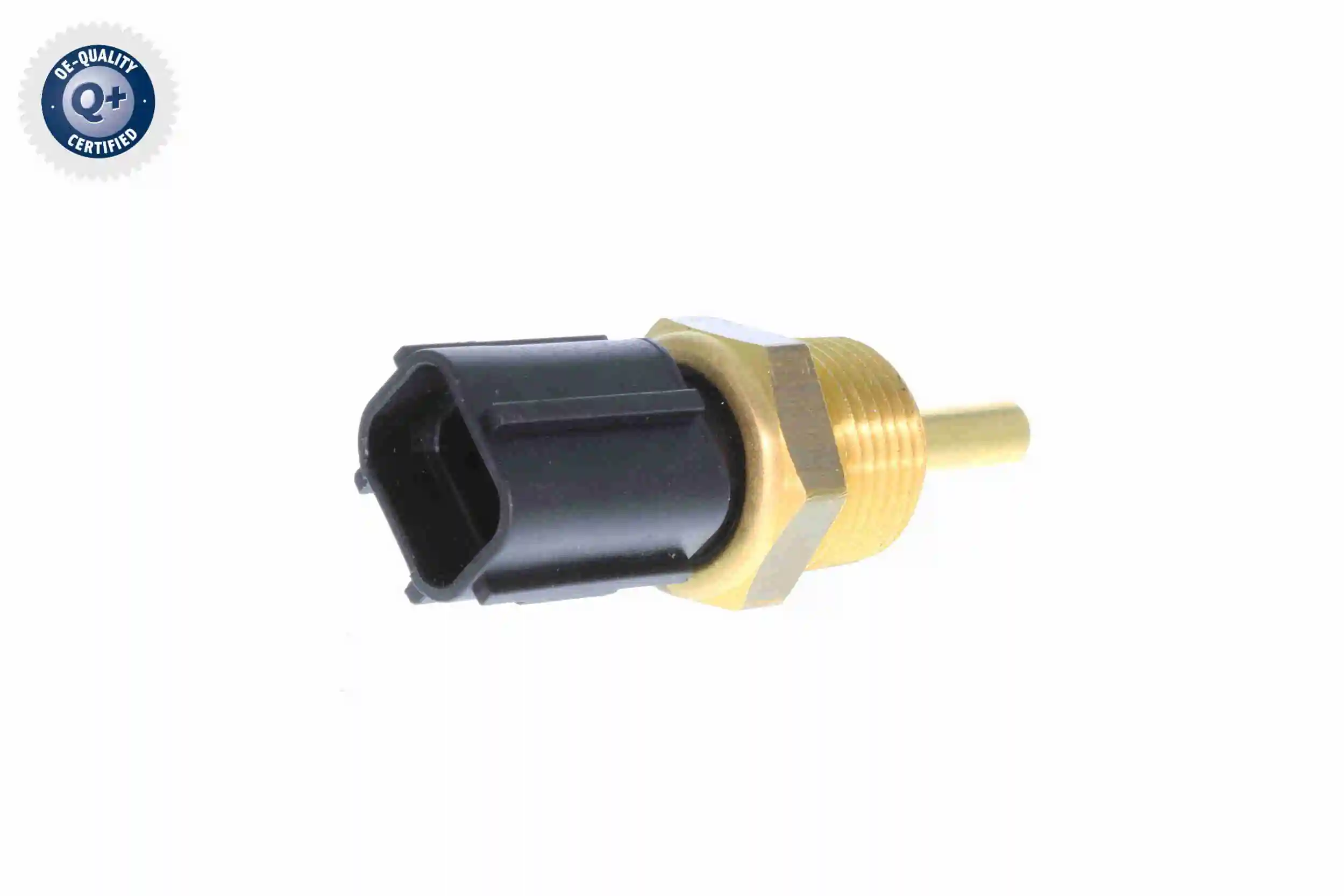 V37720004 Vemo