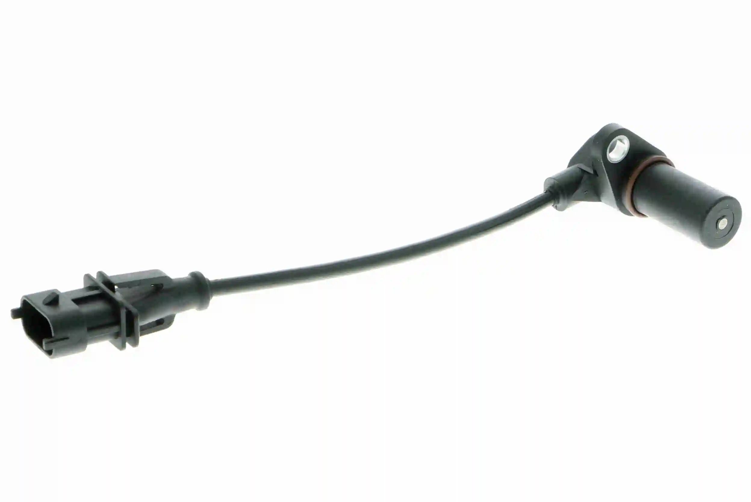 V26720184 Vemo