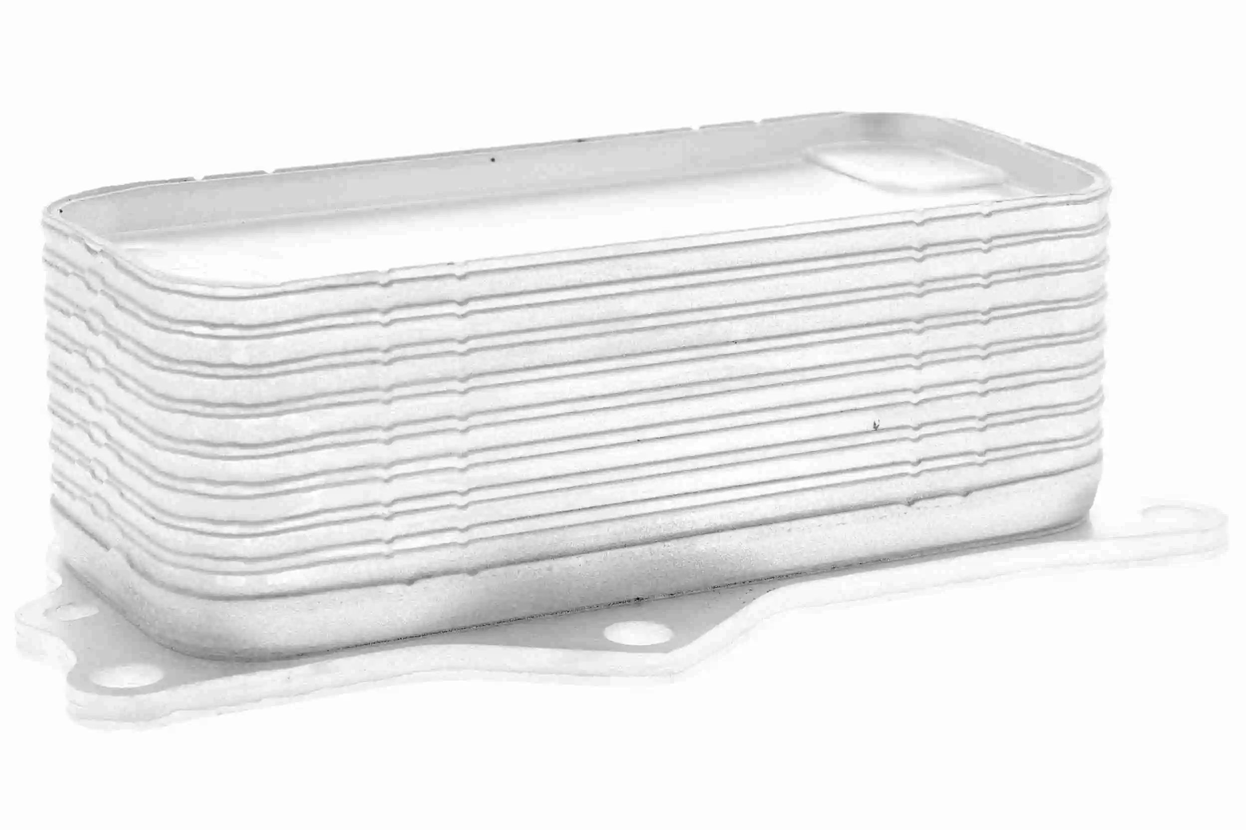V33600015 Vemo