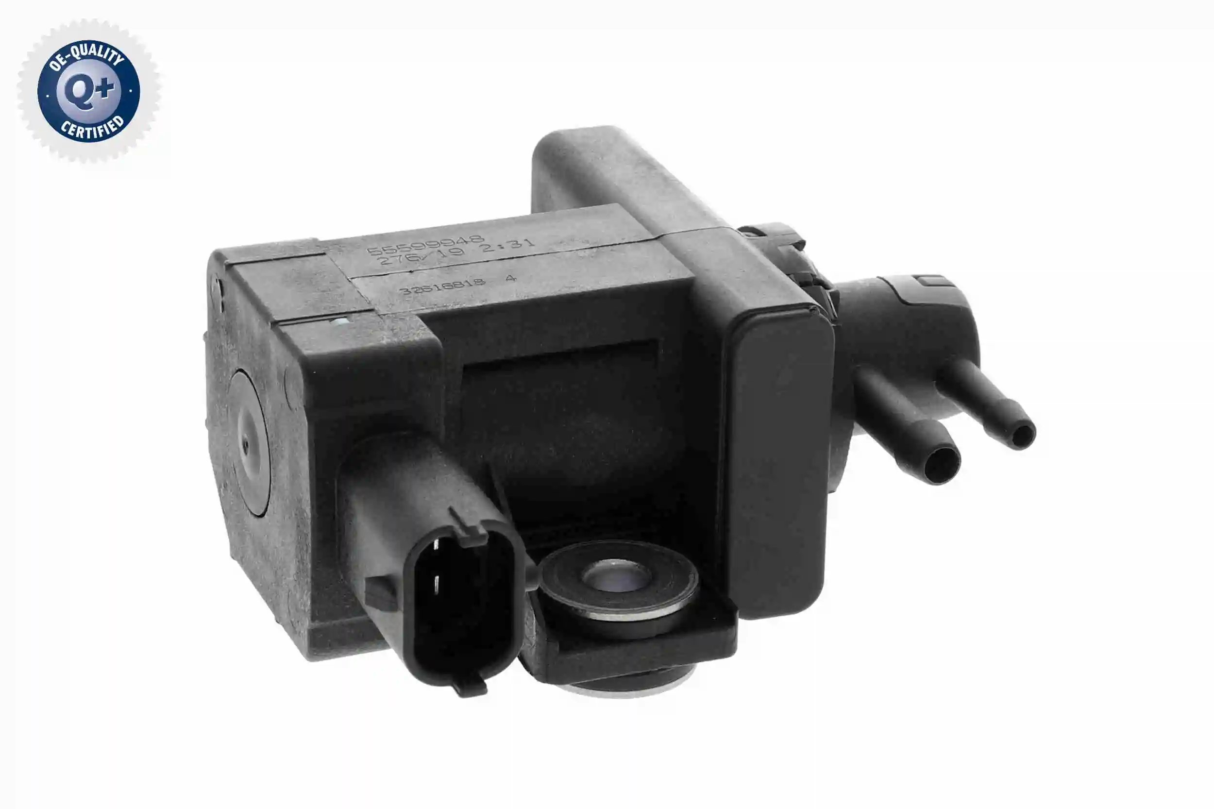 V51630023 Vemo