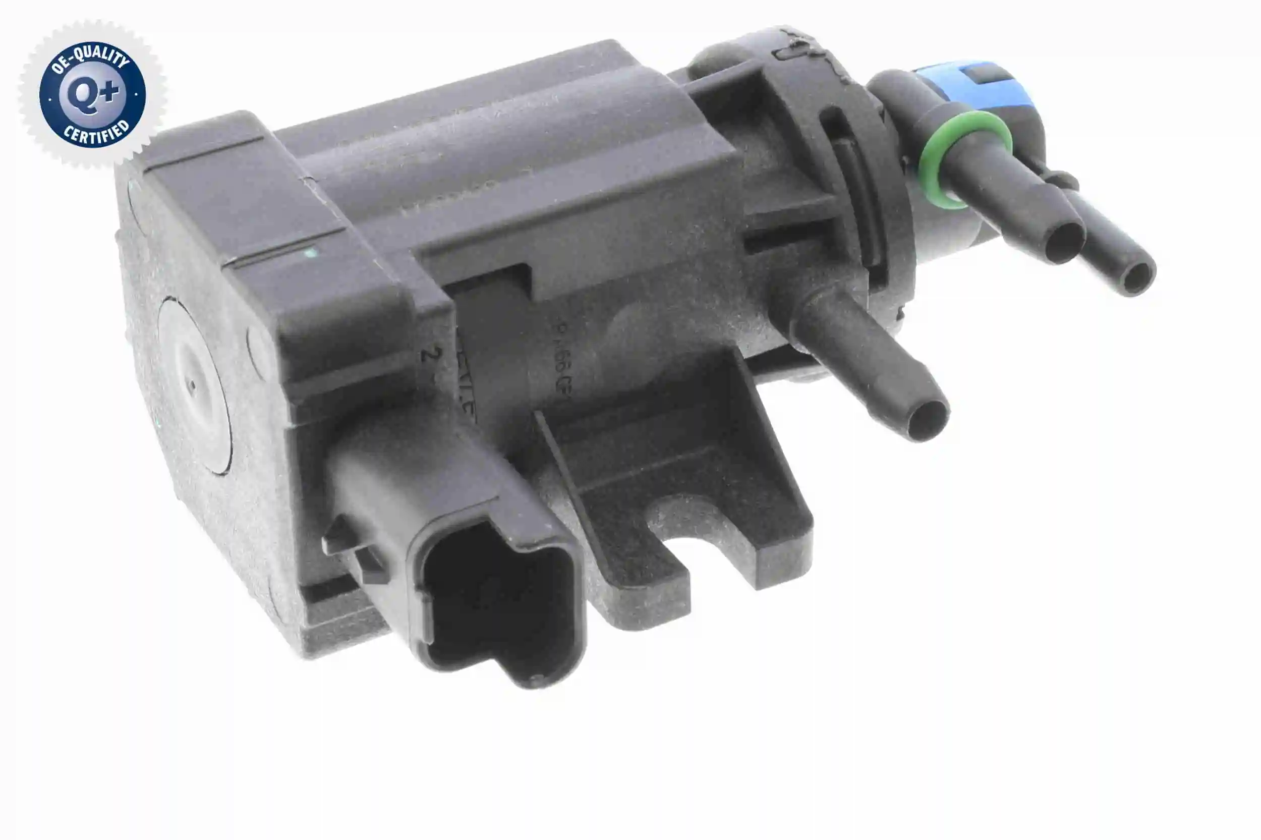 V42630008 Vemo