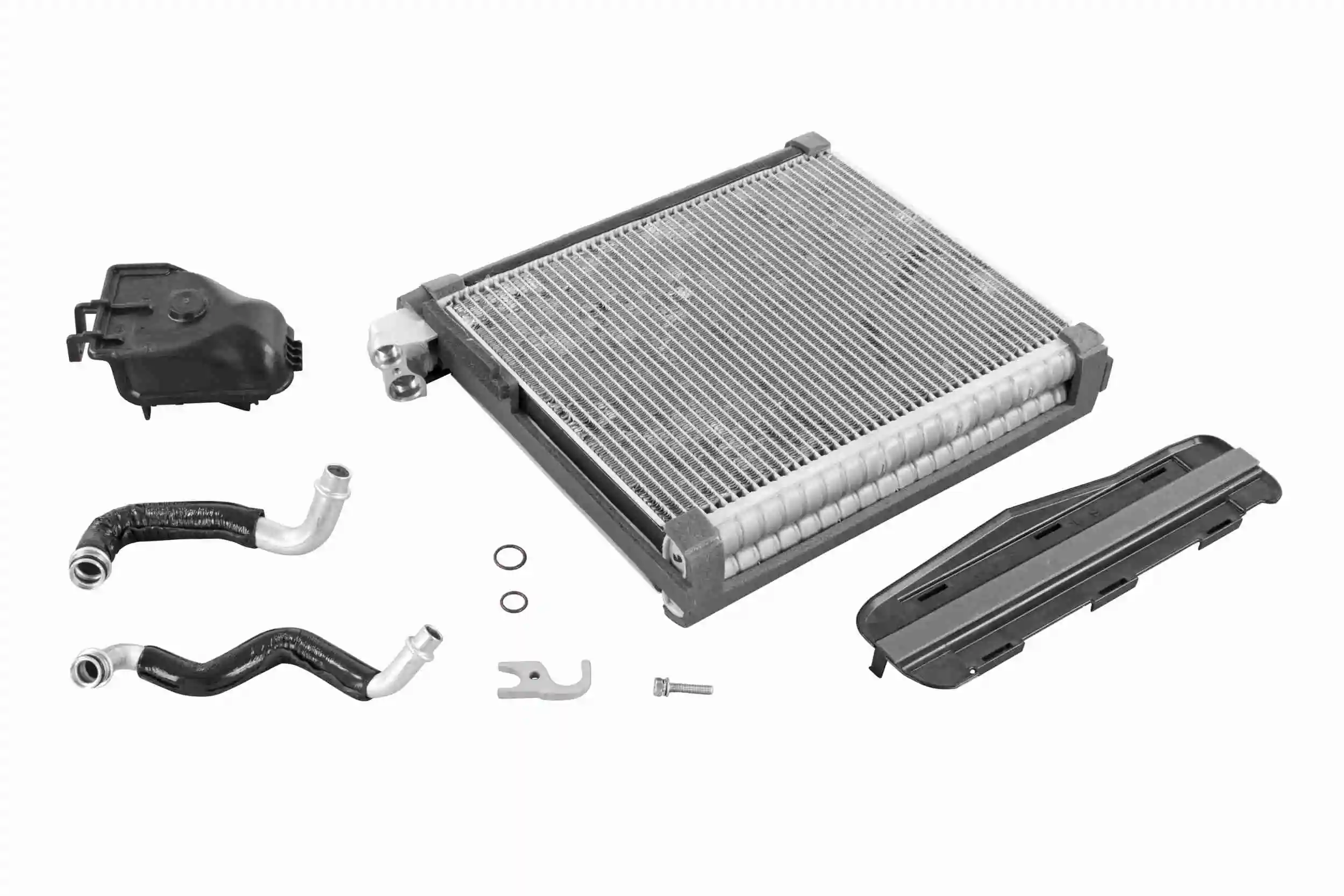 V10650028 Vemo
