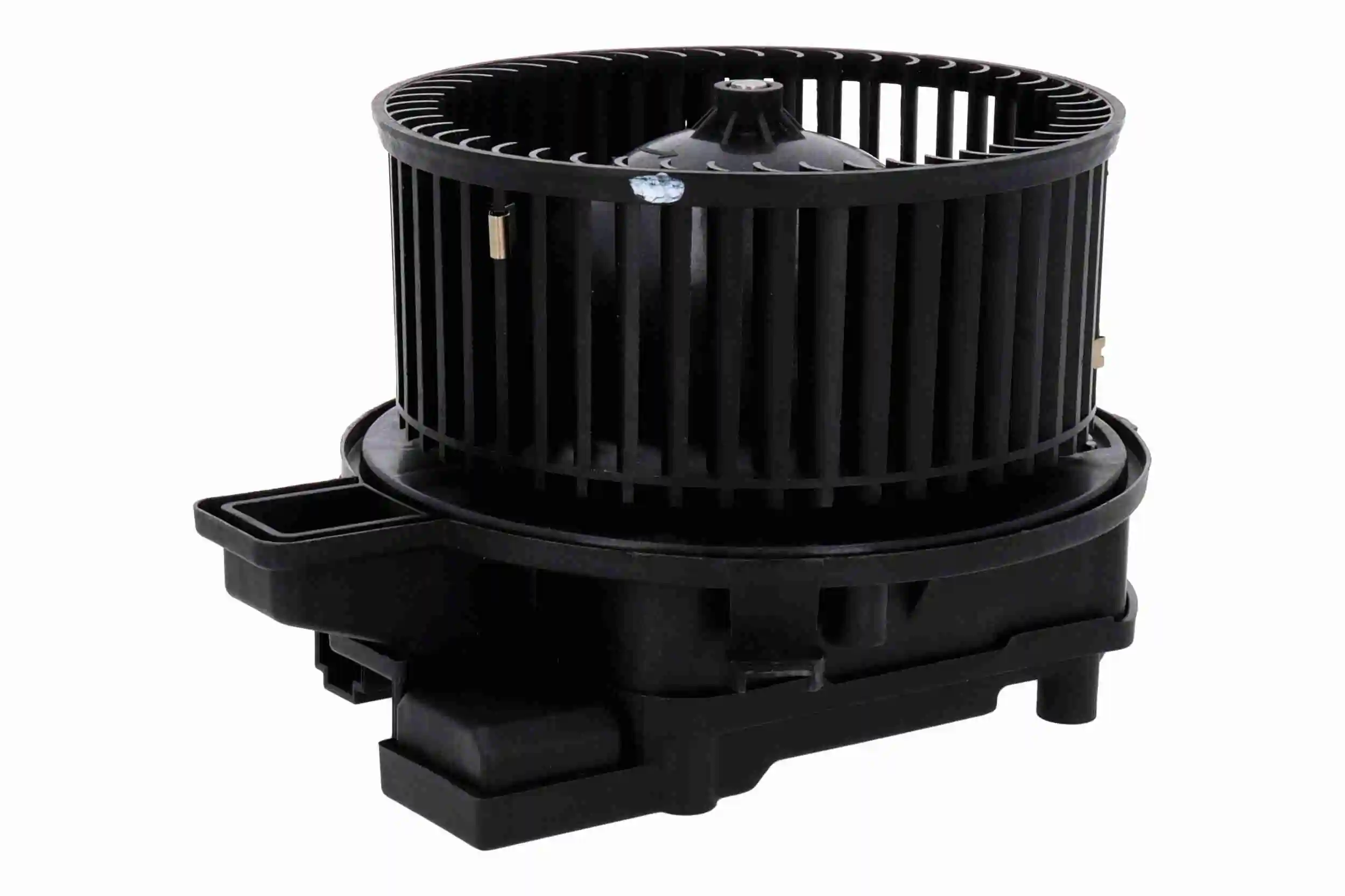 V10030005 Vemo