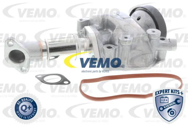 V30630010 Vemo