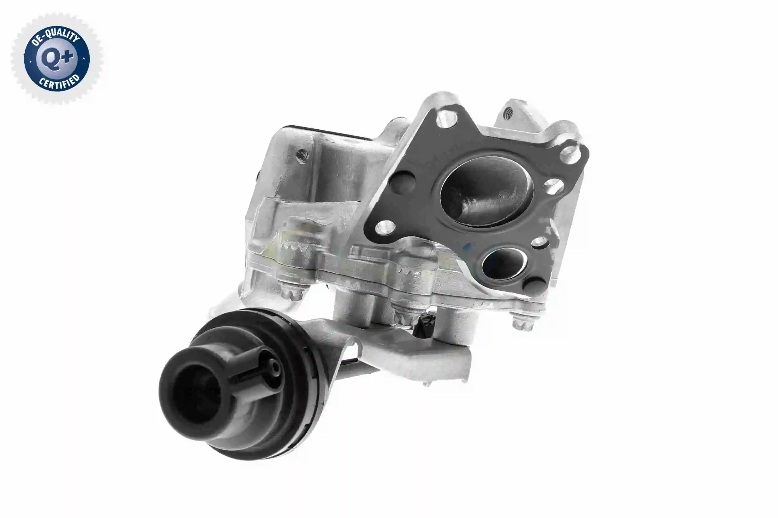 Comprar V30630080 Vemo Válvula de derivación EGR