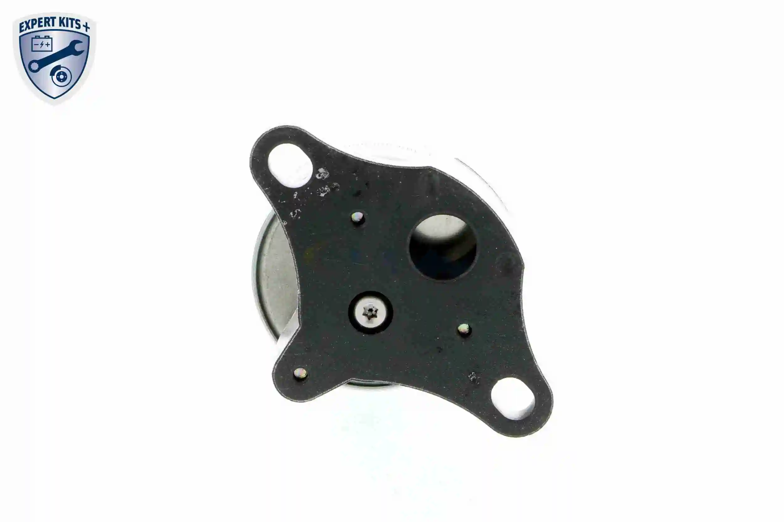 EGR Vemo V40630001