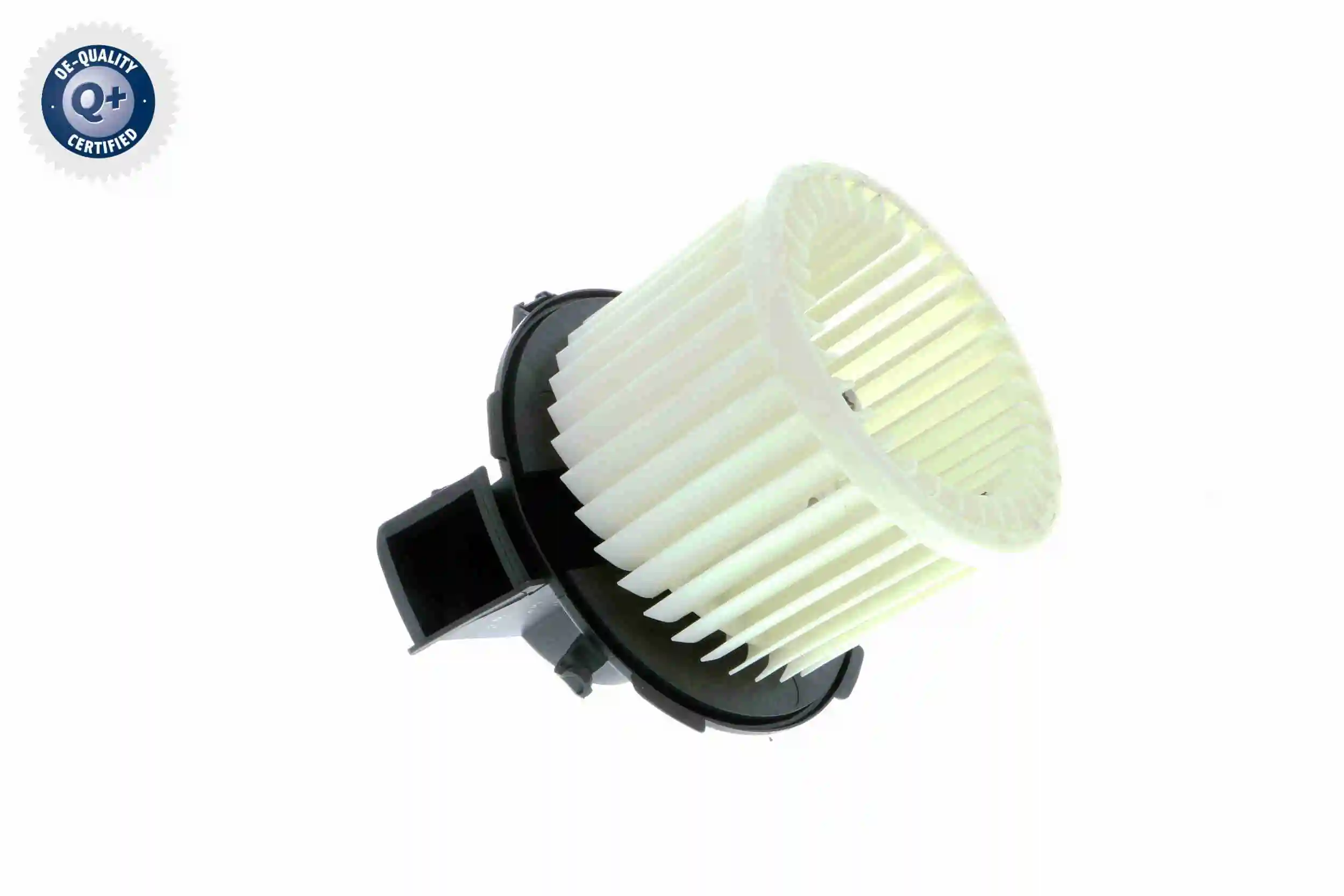 V42031224 Vemo