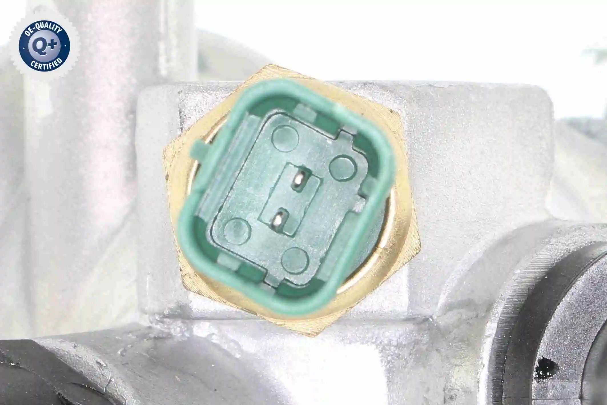 V24990034 Vemo Termostato de agua