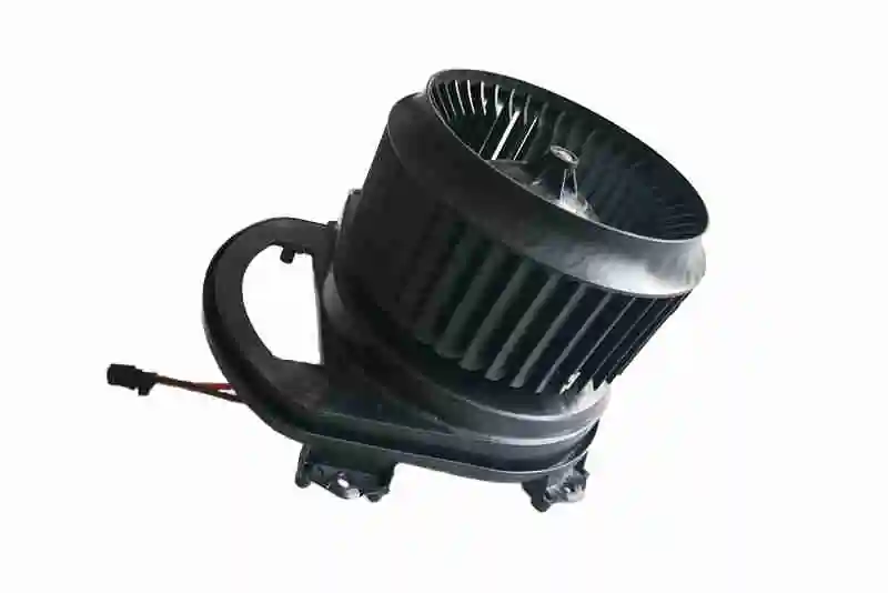 V30031793 Vemo