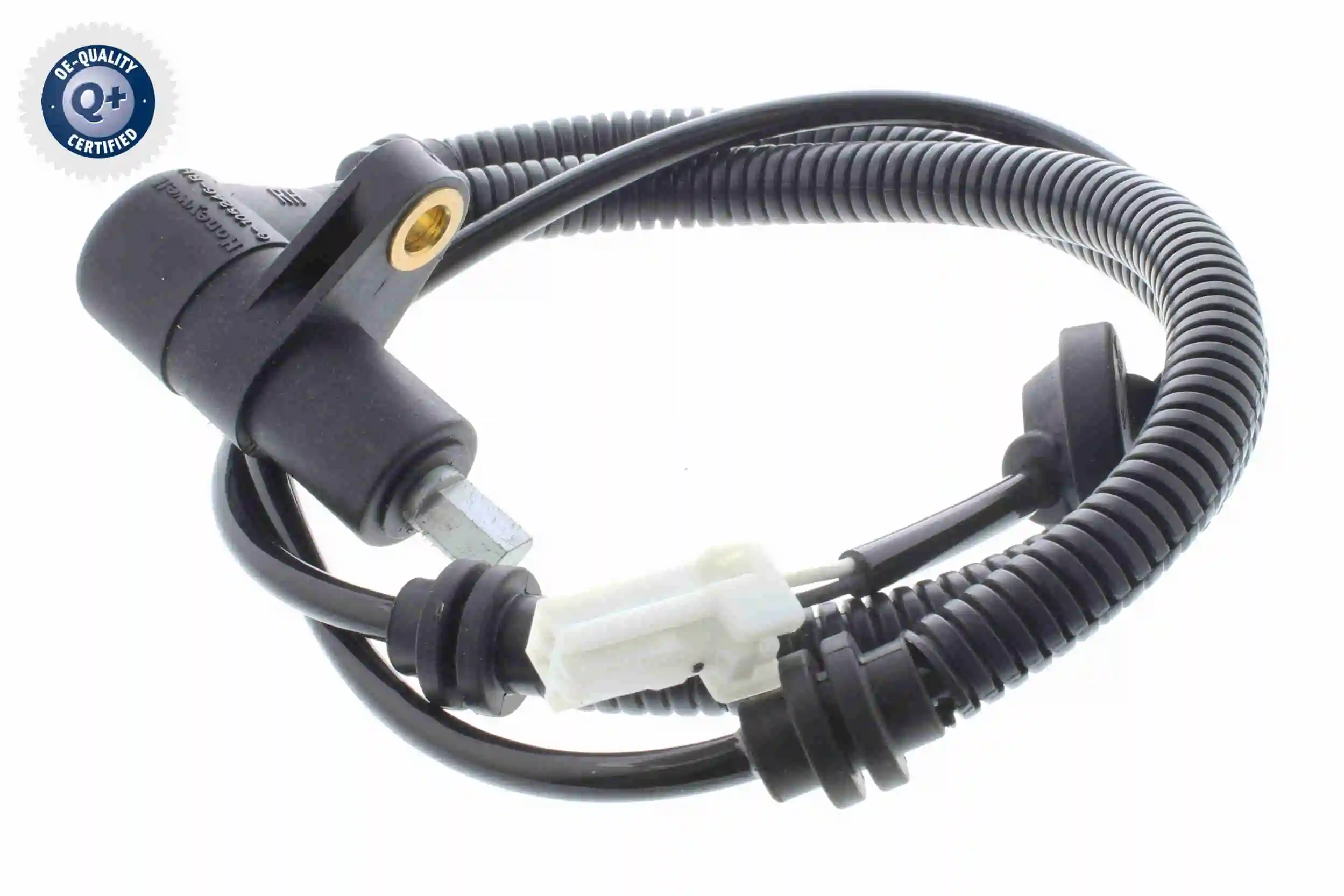 V53720033 Vemo