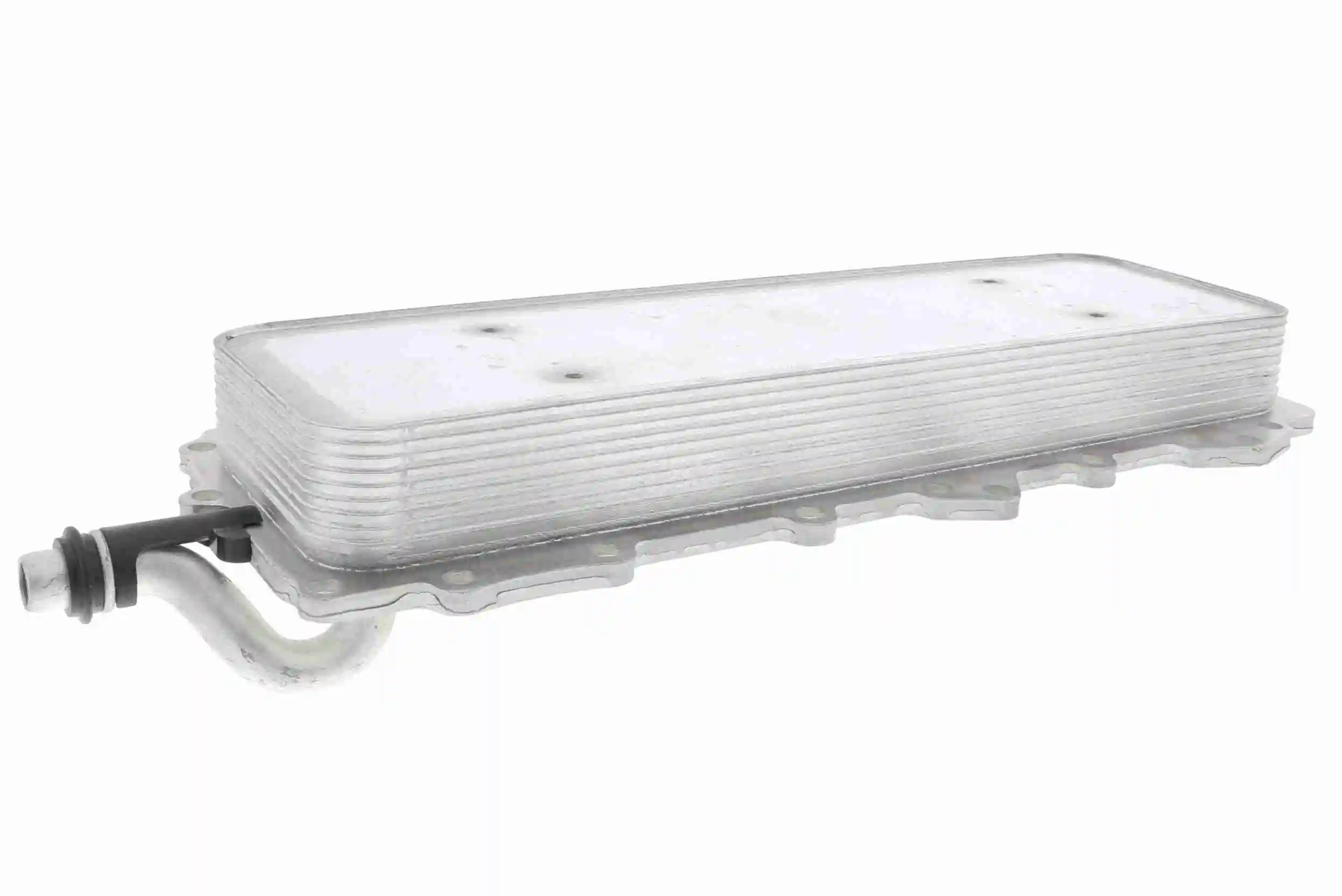 V48600024 Vemo