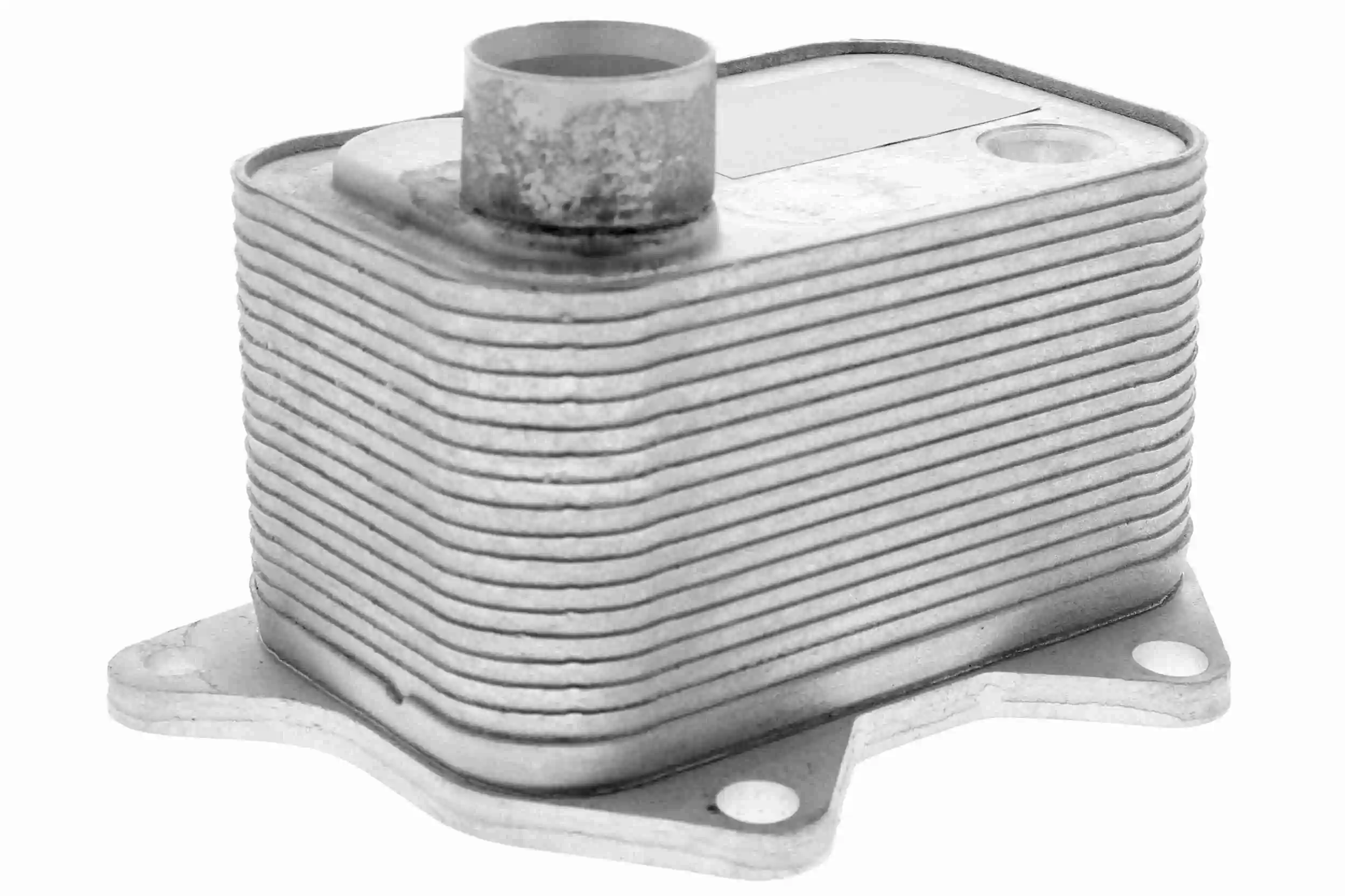 V15600015 Vemo