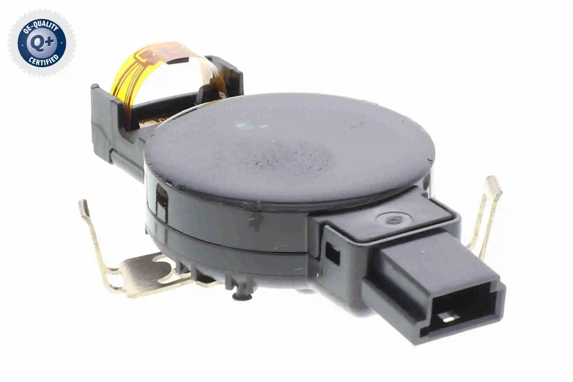 V20720569 Vemo