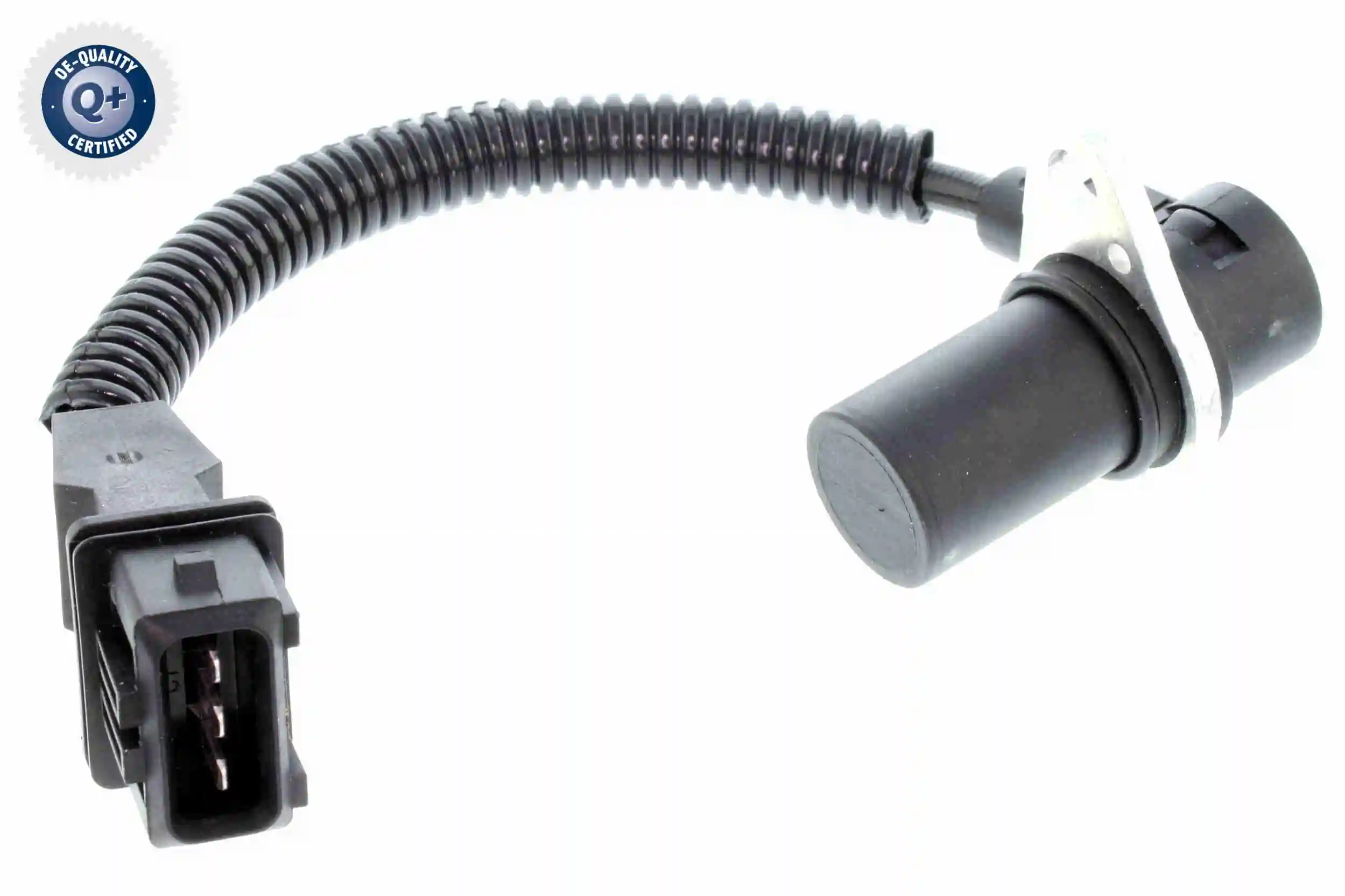V52720153 Vemo