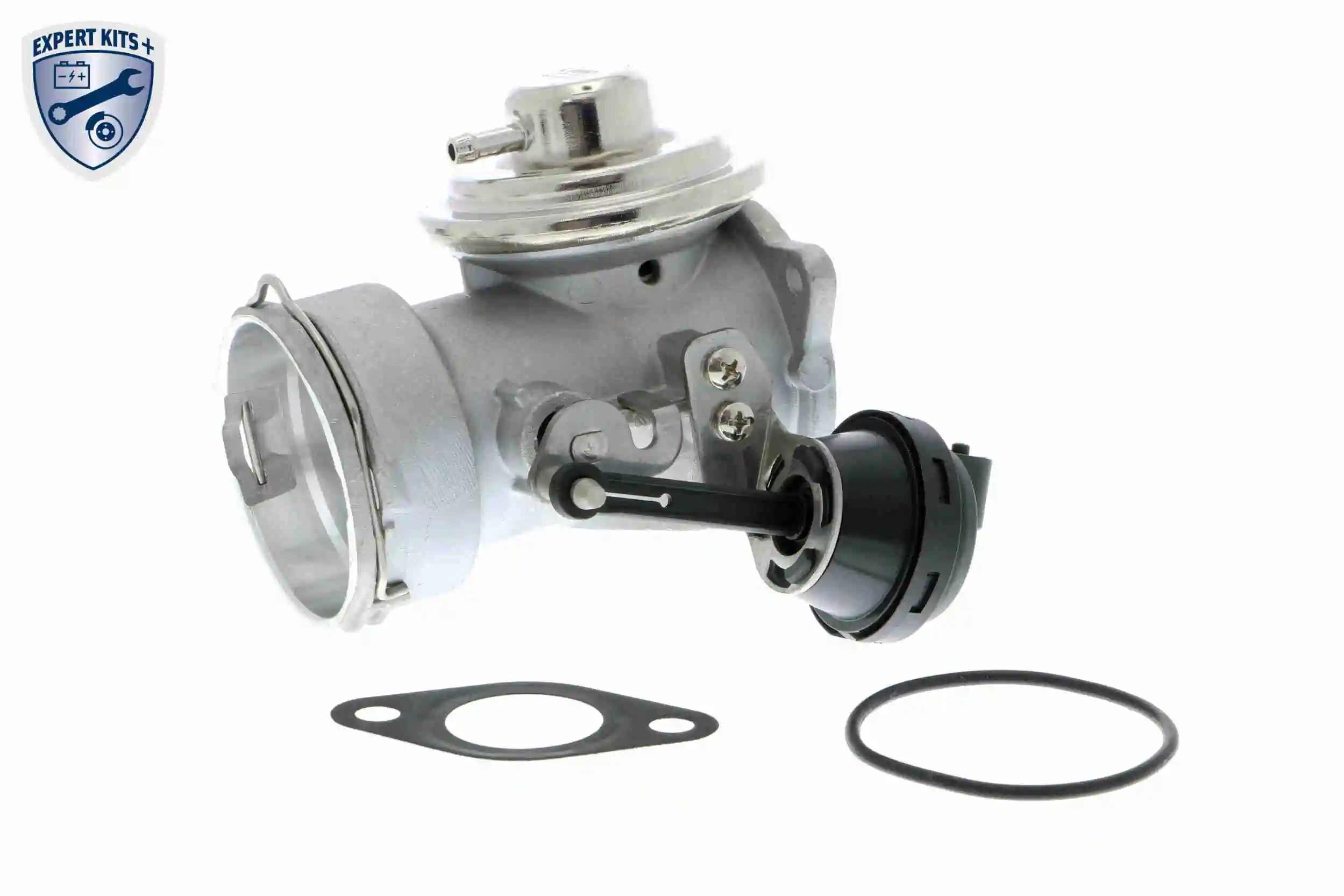 Comprar Válvula EGR de recirculación de gases Seat Alhambra 7V8, 7V9 a bajo precio
