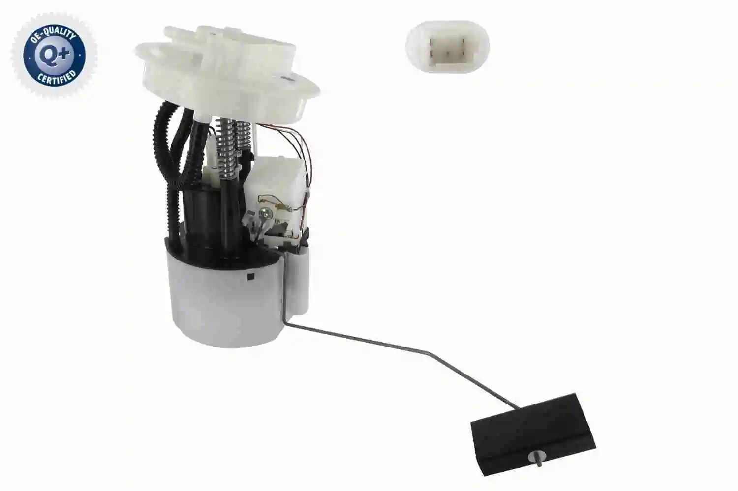 V46090031 Vemo