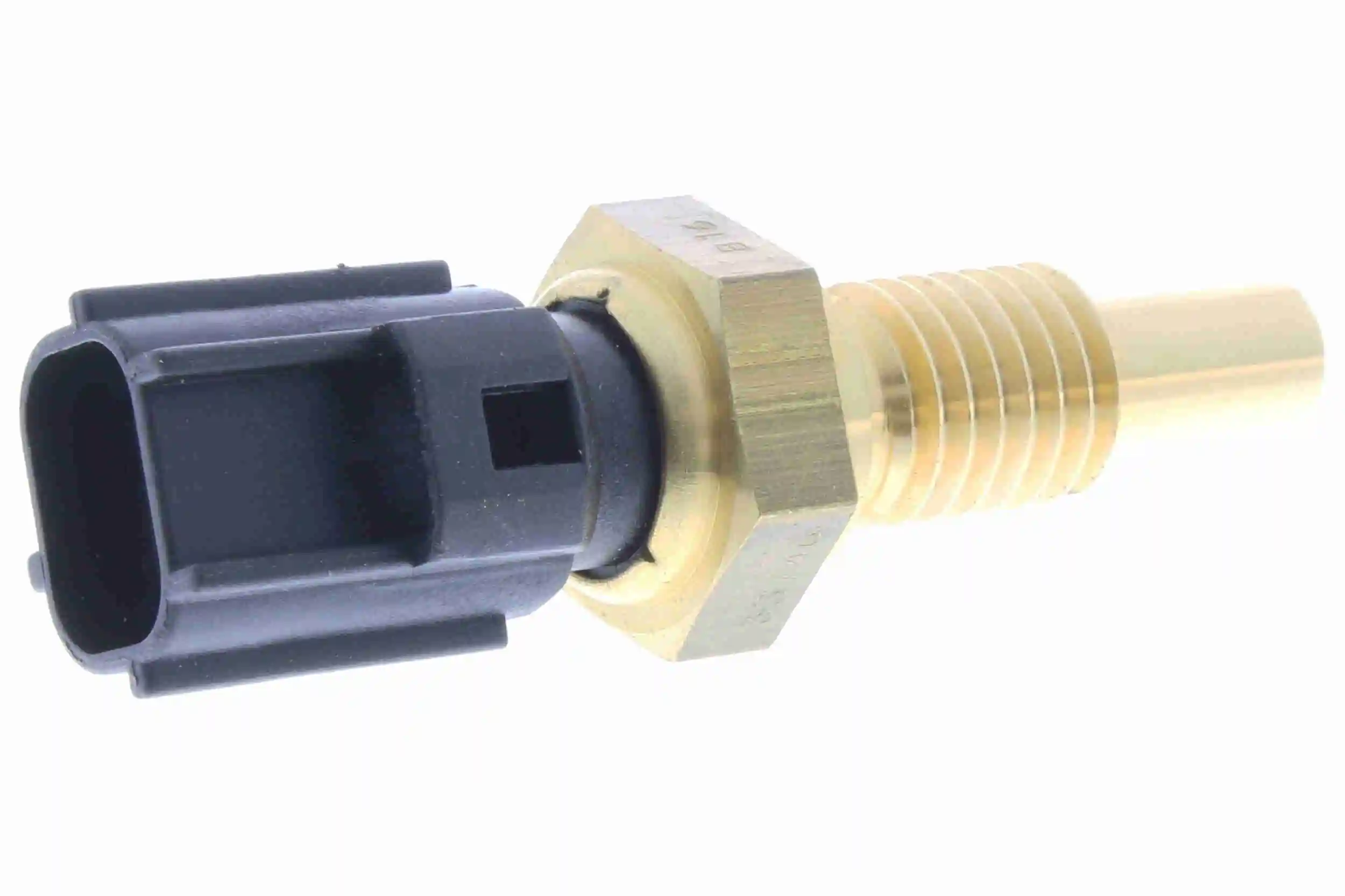 V25720041 Vemo