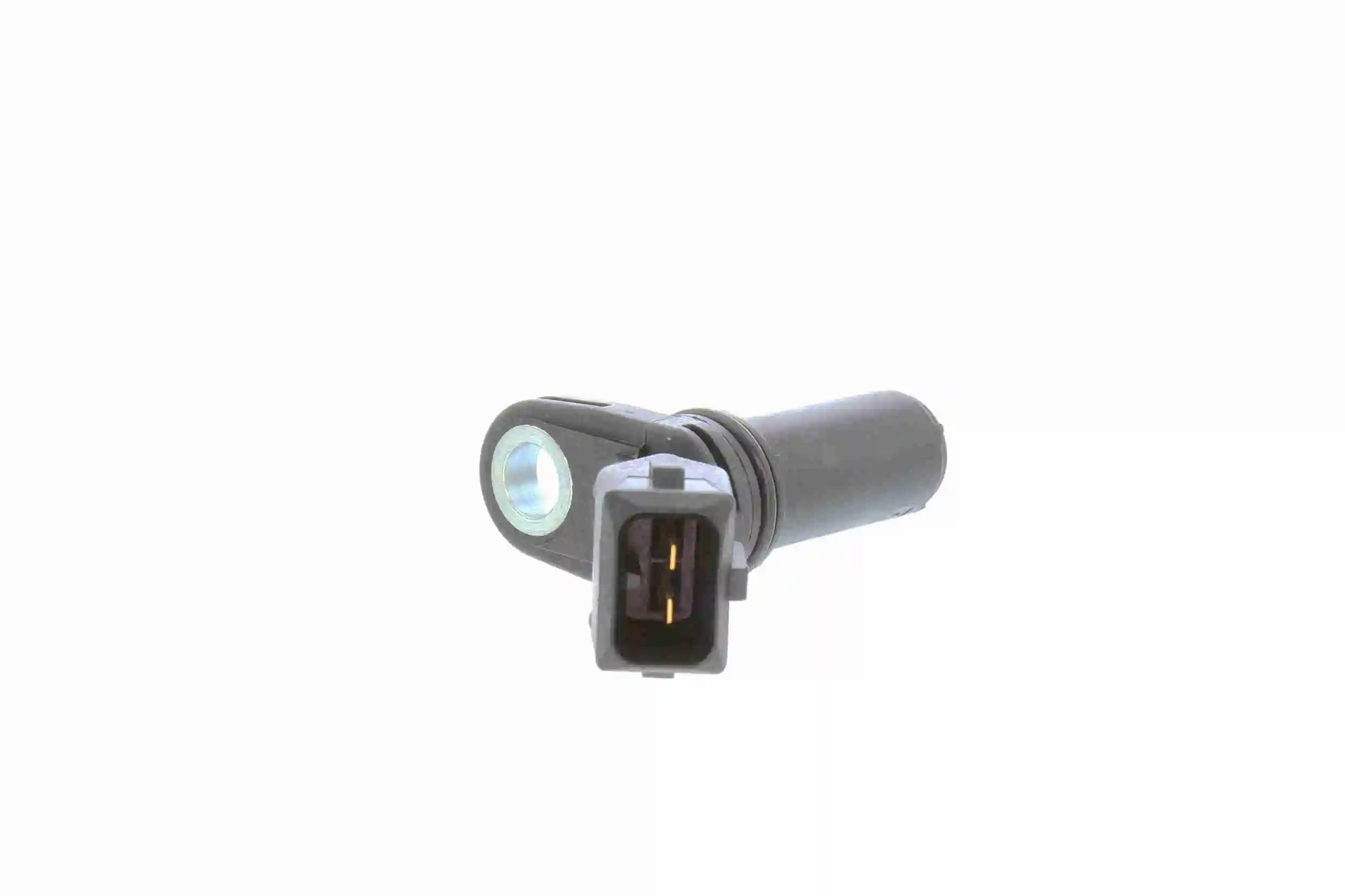 V25720036 Vemo