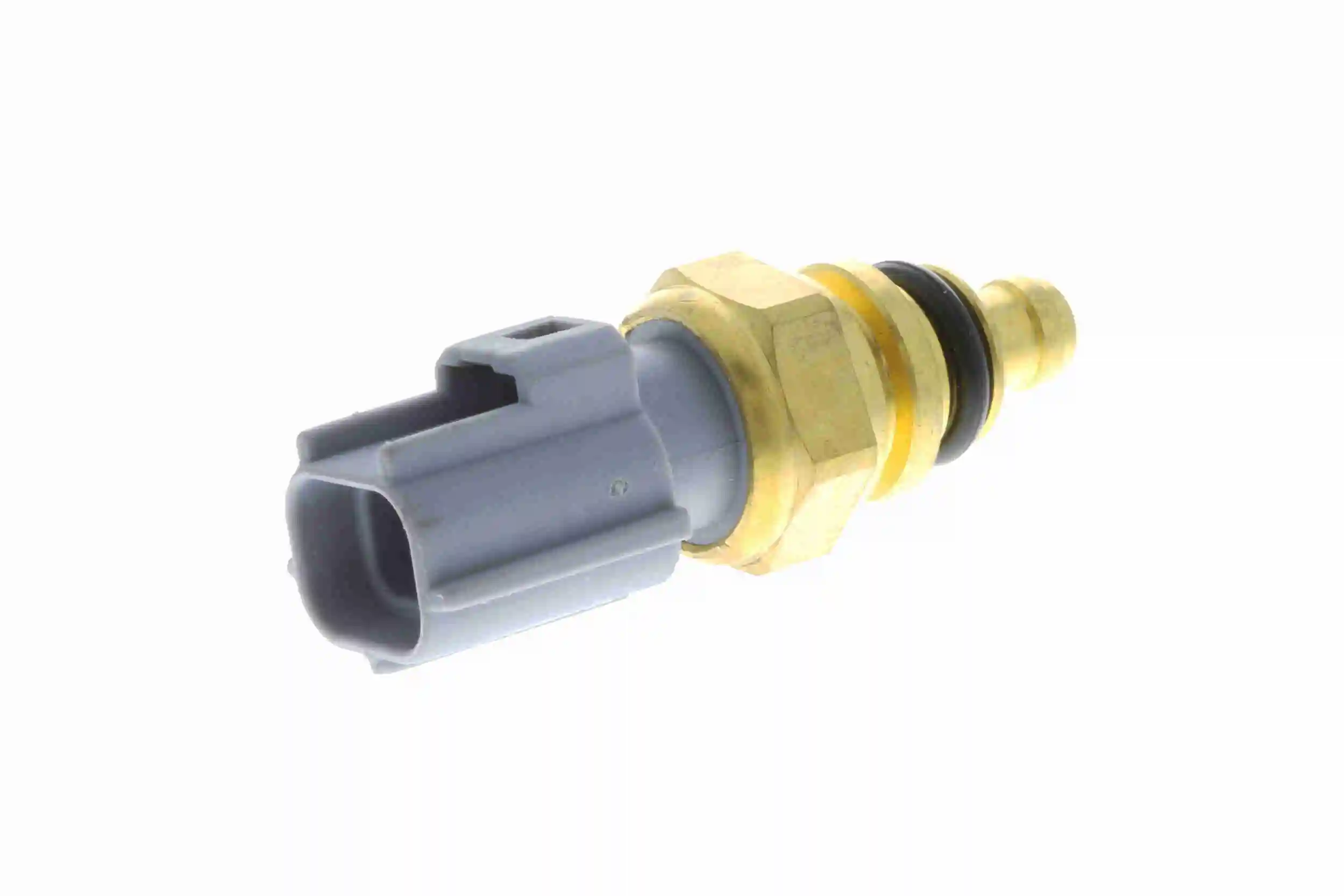 V25720048 Vemo