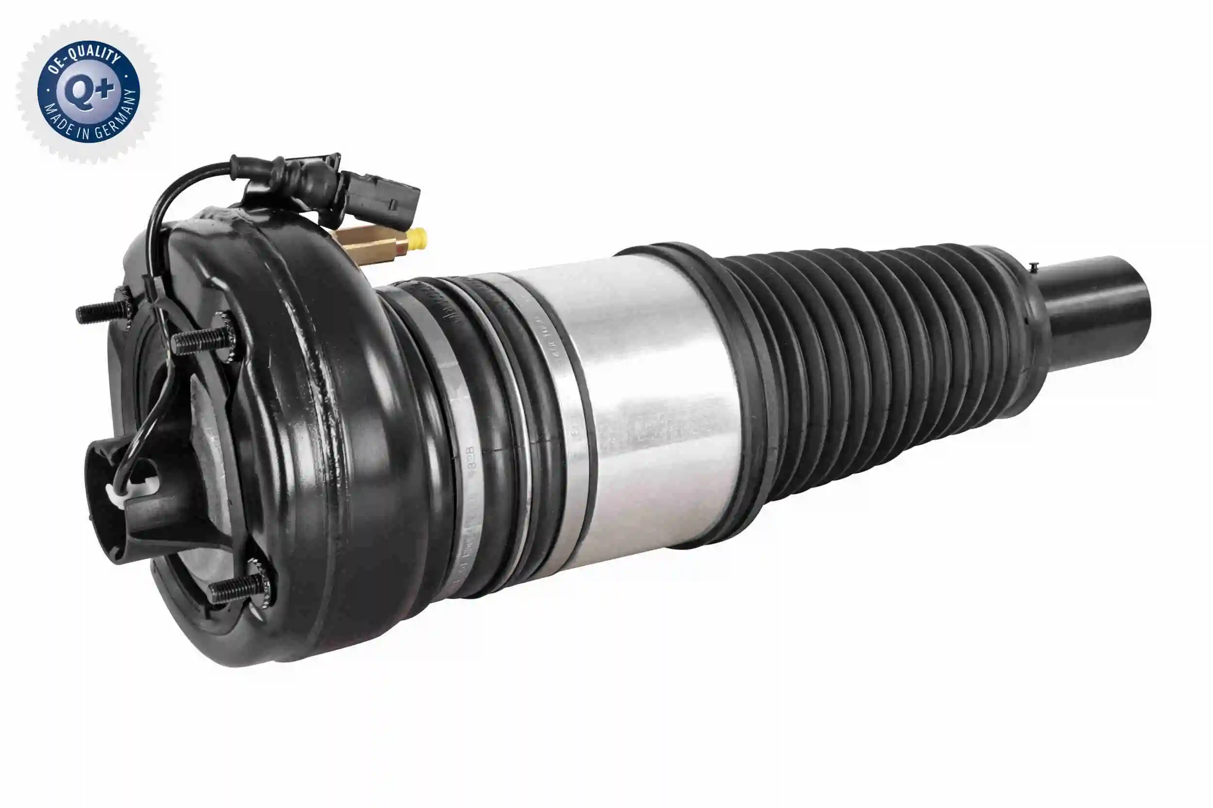 V45500003 Vemo