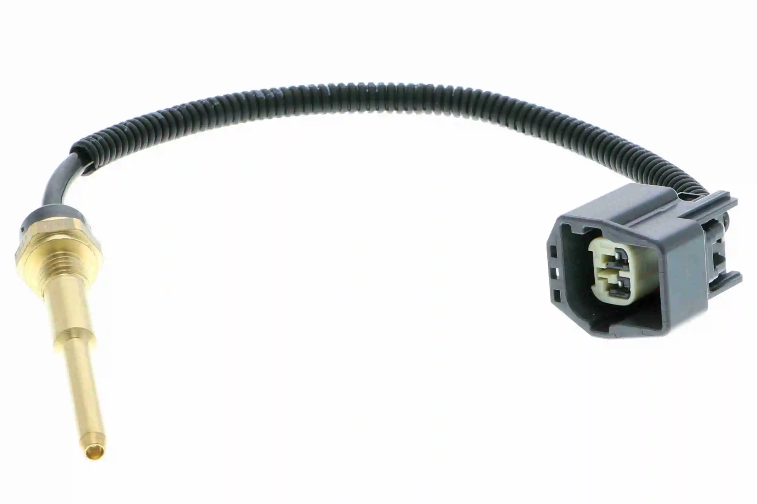 V25721171 Vemo