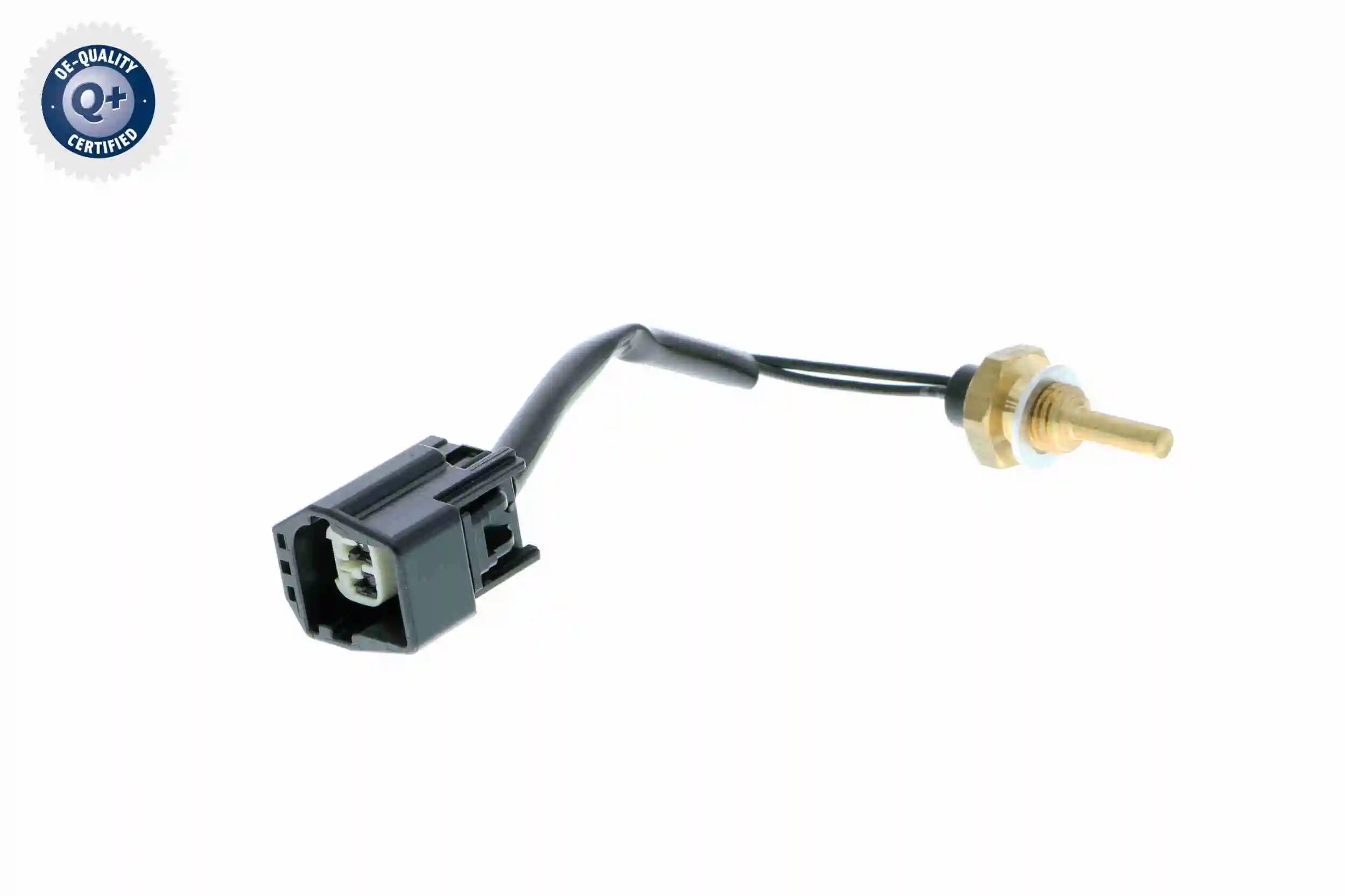 V95720017 Vemo