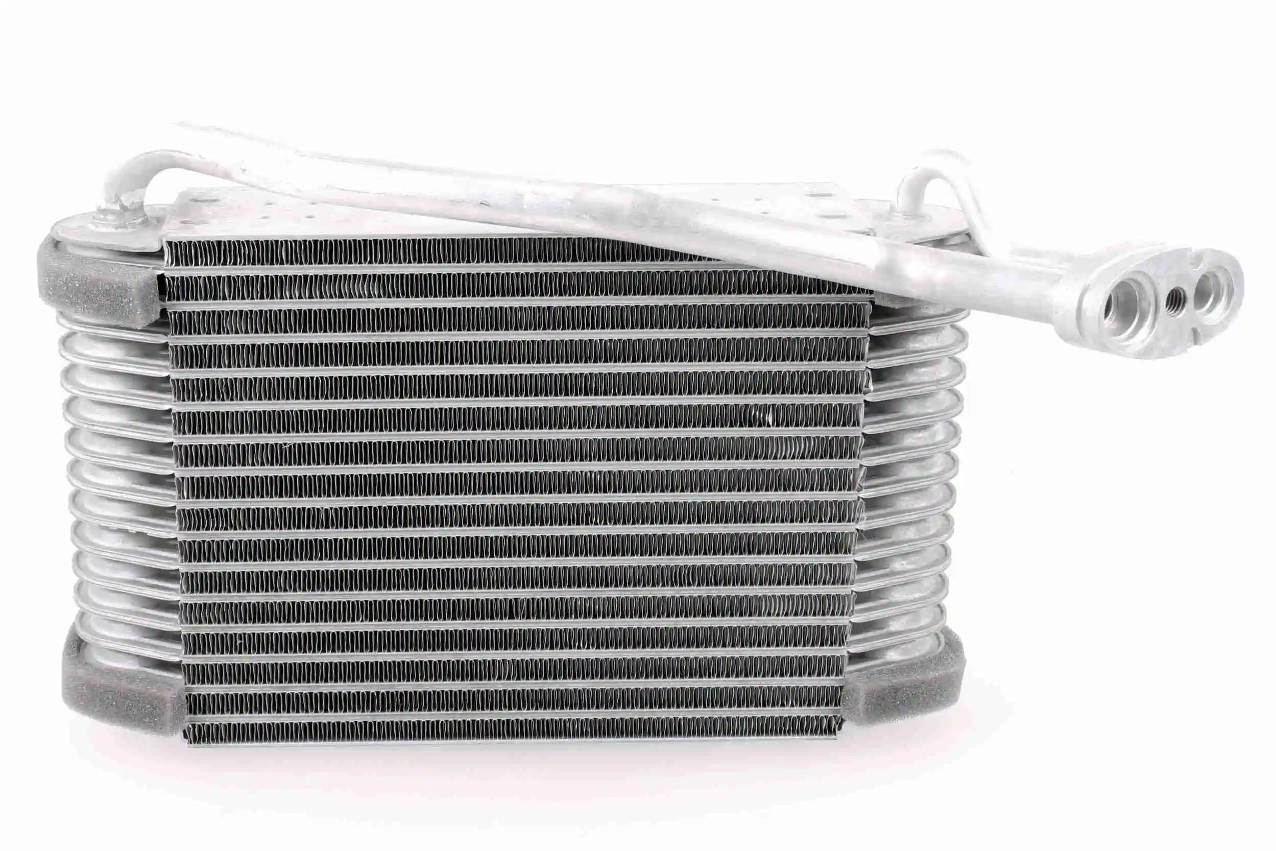 V10650002 Vemo