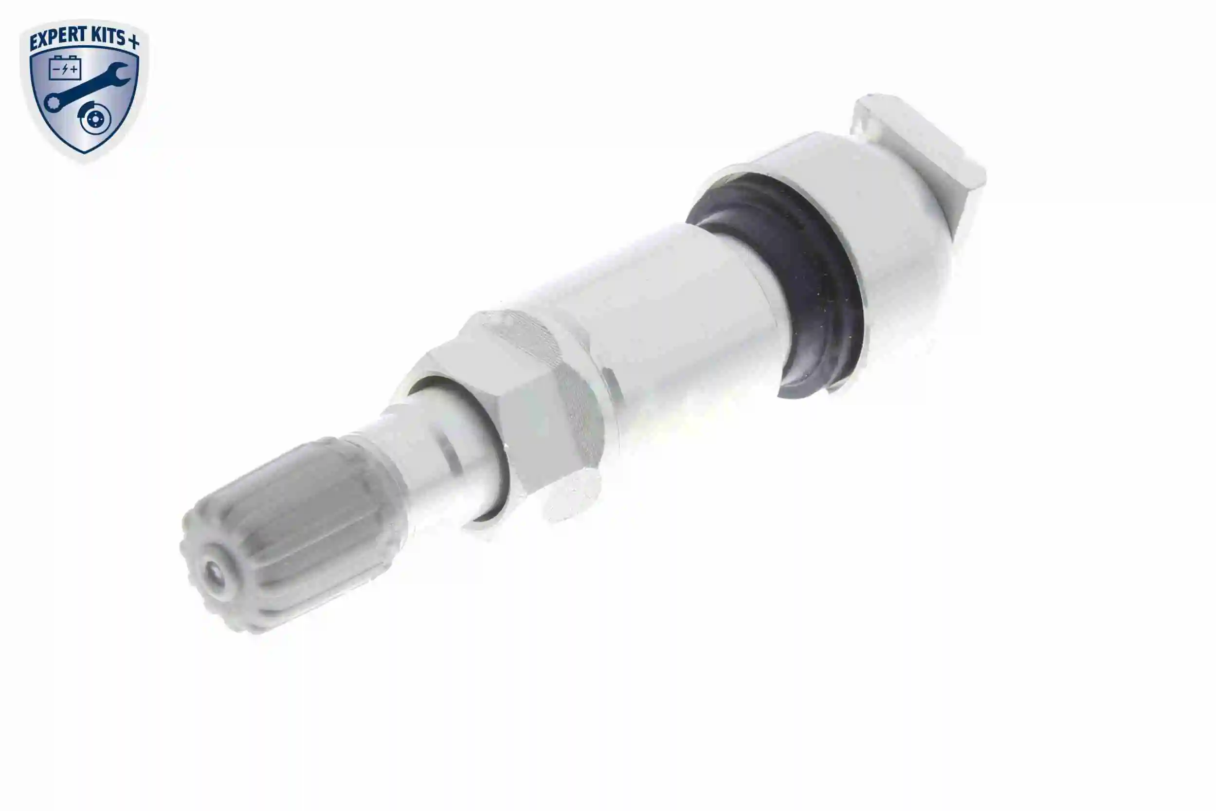 Sensor De Presion De Neumaticos Renault Scenic 3 JZ0, JZ1