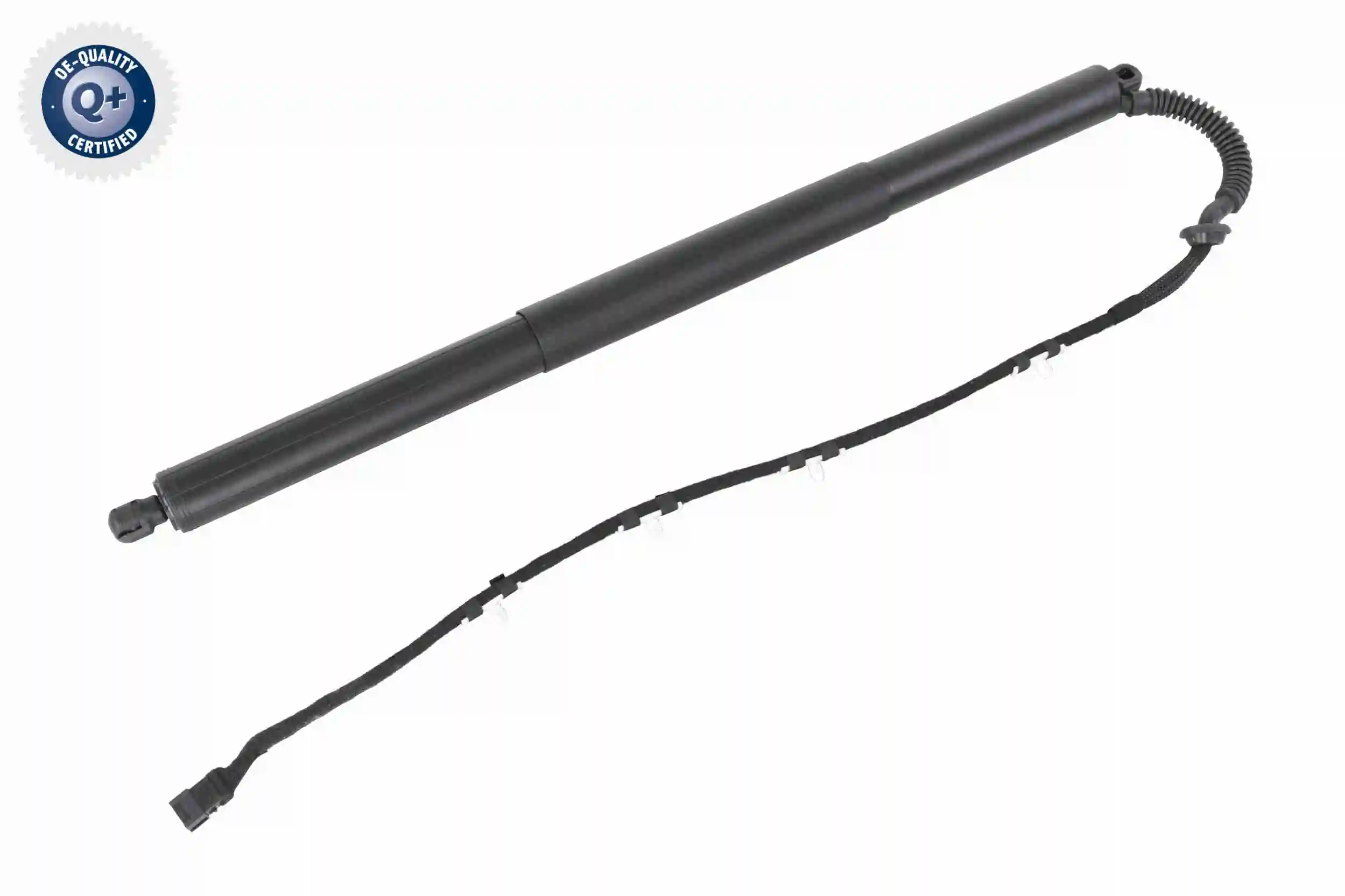 V20550001 Vemo
