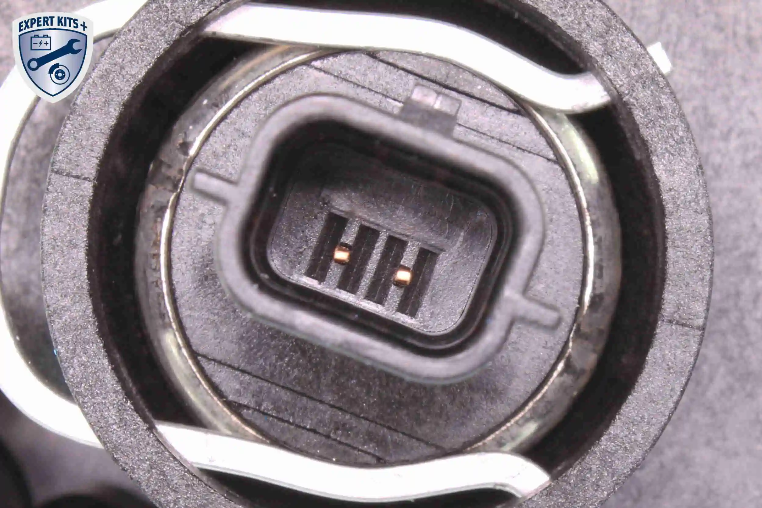 V46991386 Vemo