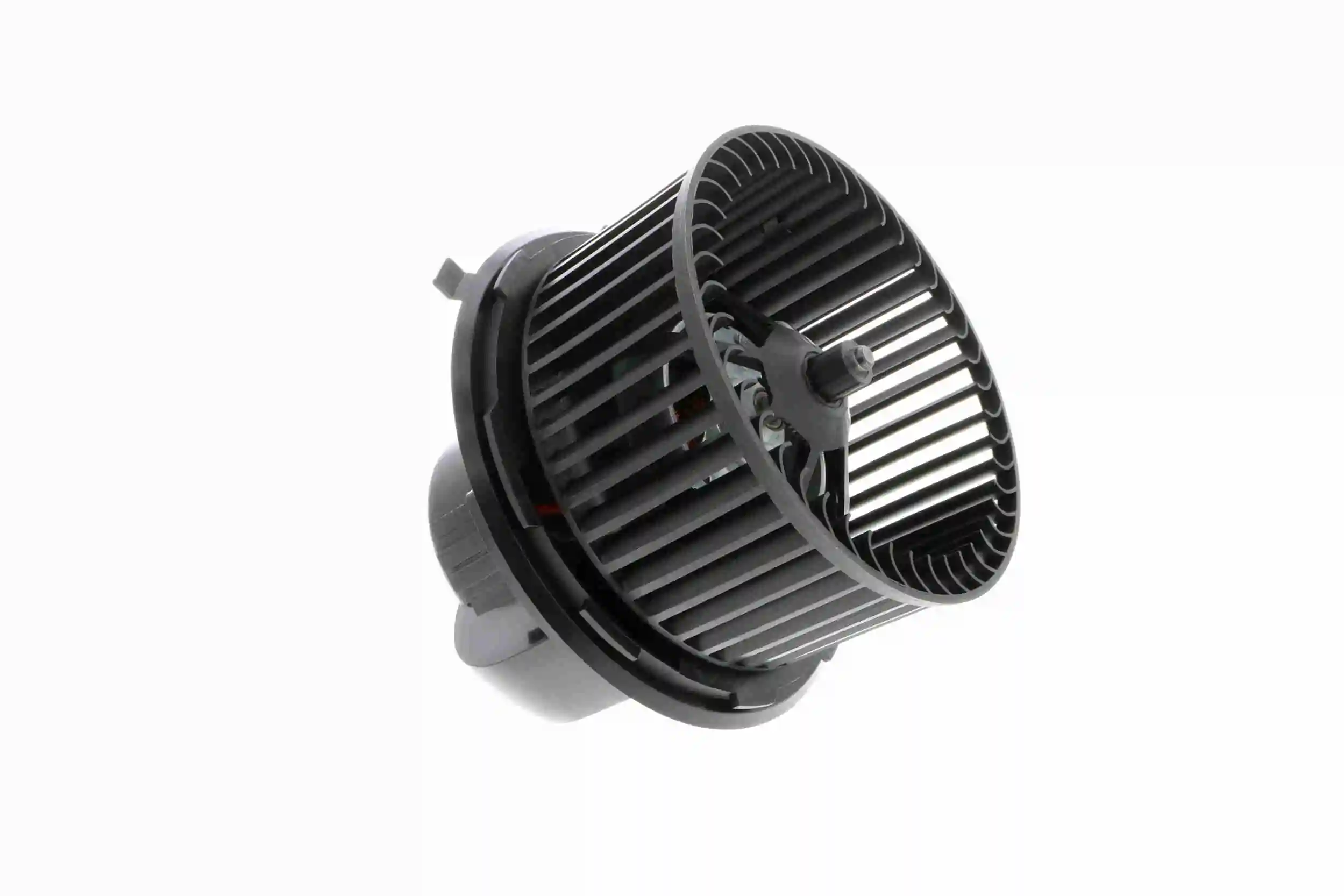 V15031875 Vemo