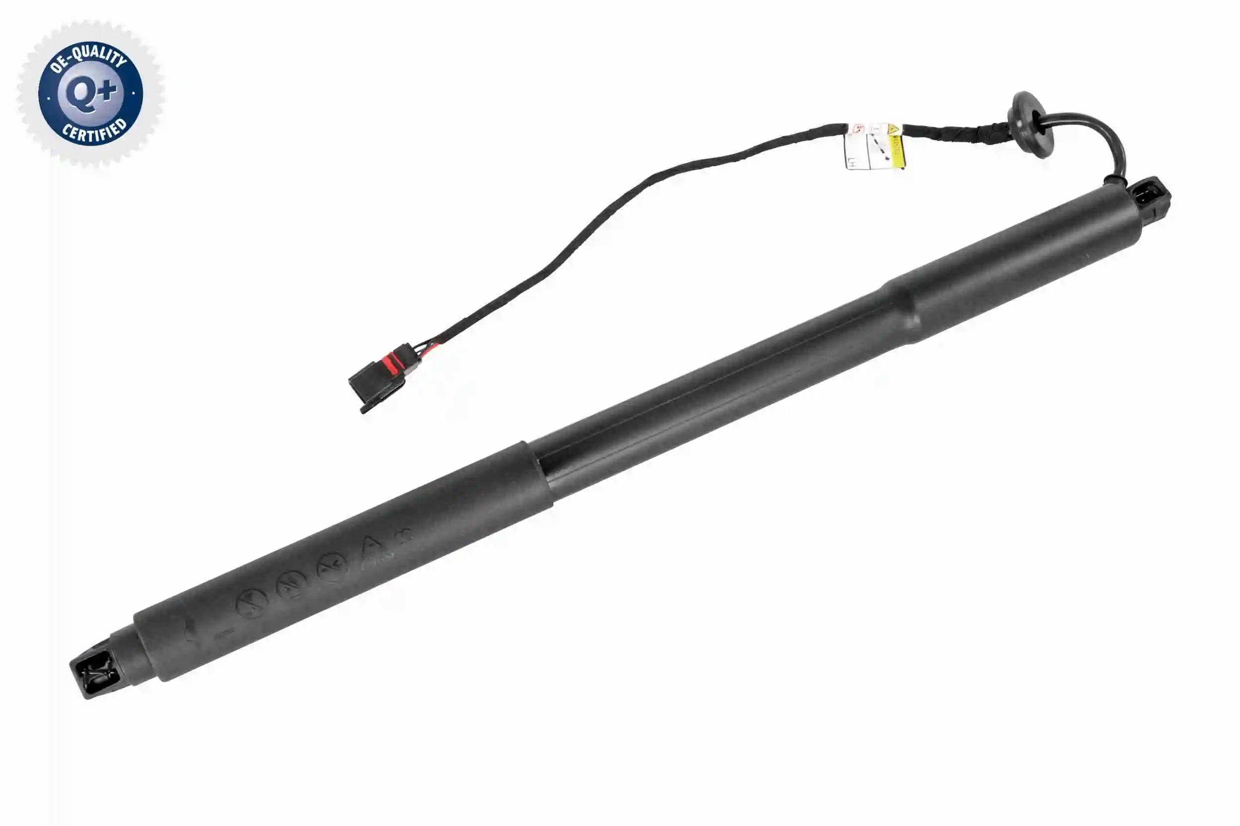 V95550001 Vemo