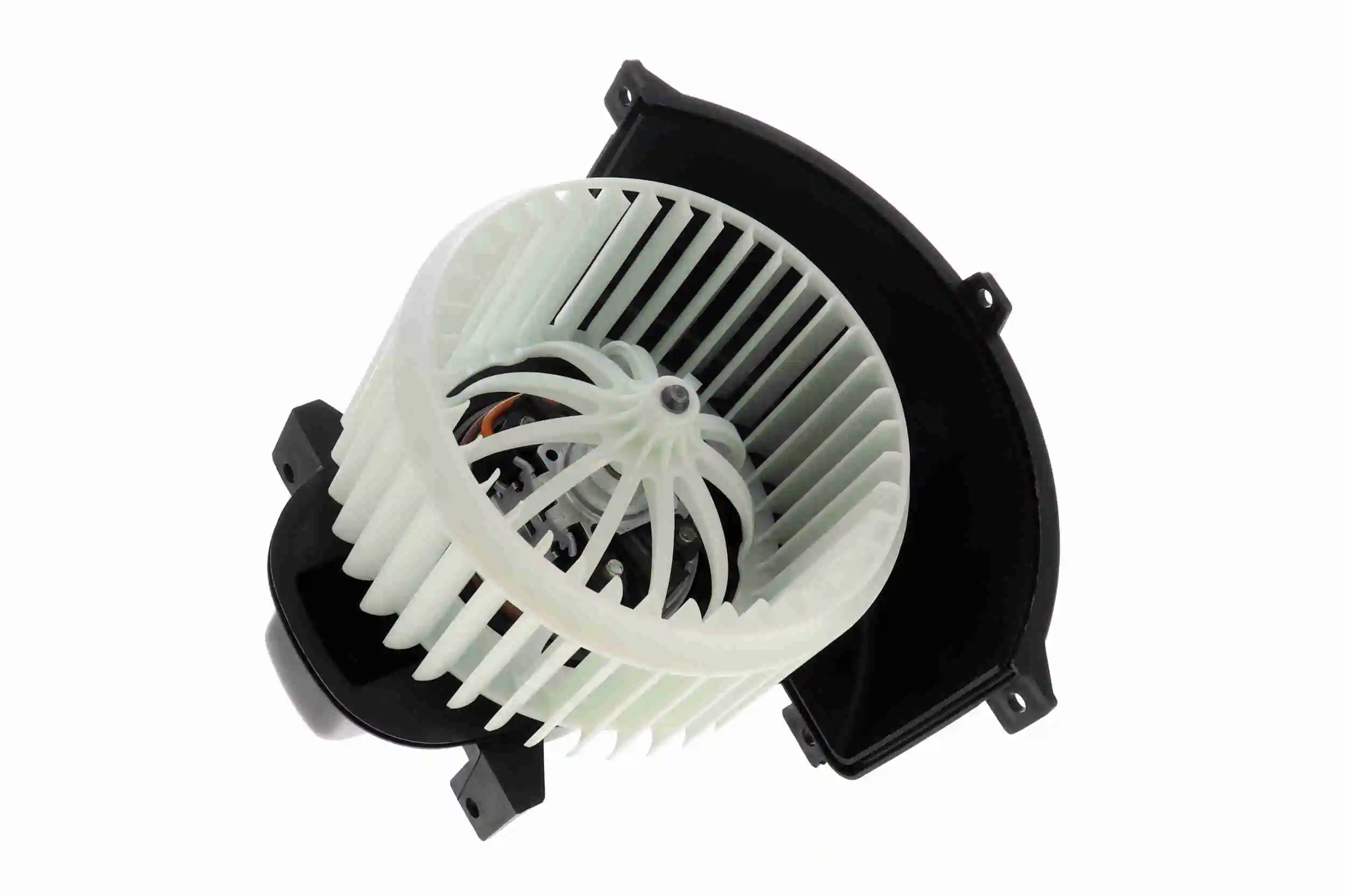 V10030004 Vemo
