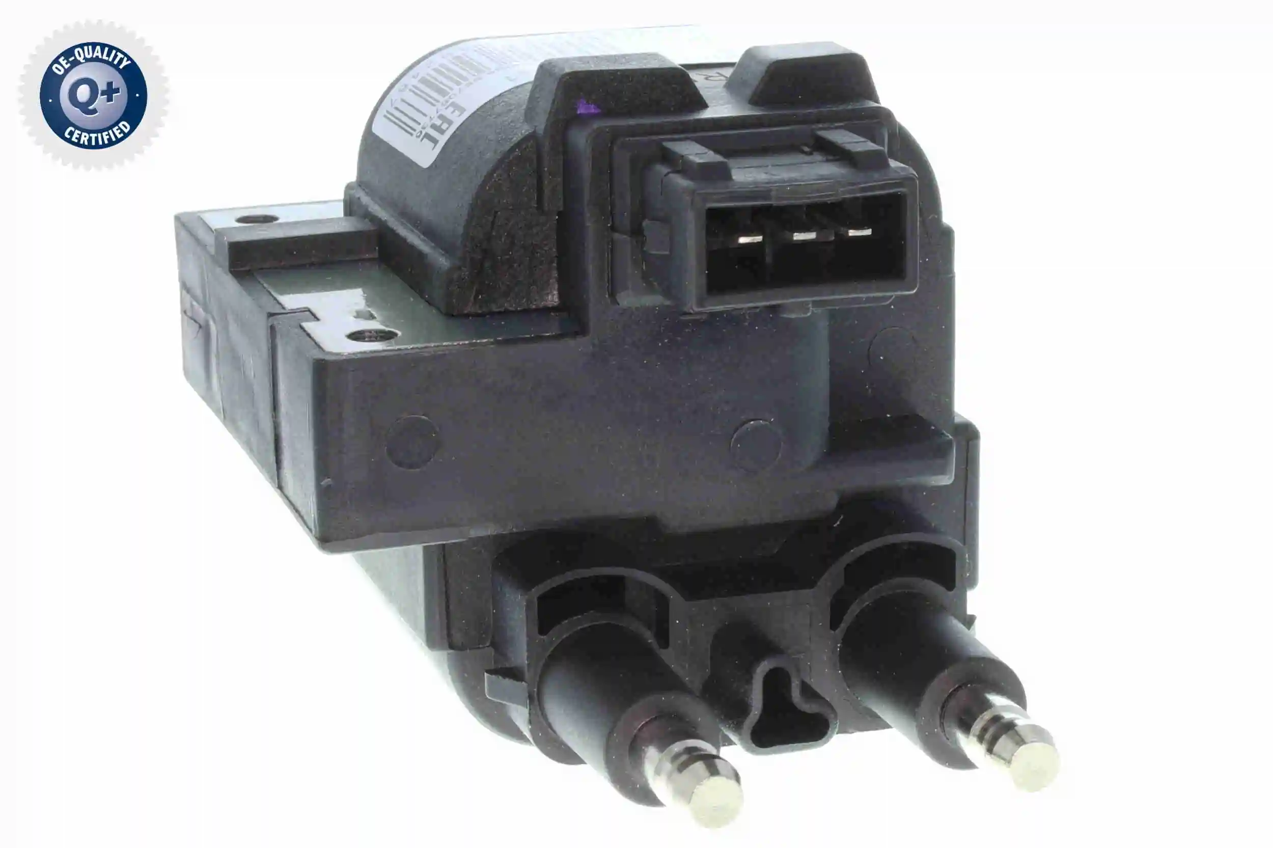 V95700002 Vemo